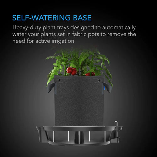 AC Infinity 3 Gallon Fabric Pots with Base - Breathable Aeration Containers for Indoor/Outdoor Plants - Perfect for Vegetables, Herbs, and Flowers Gardening