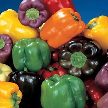 Sweet Rainbow Mix