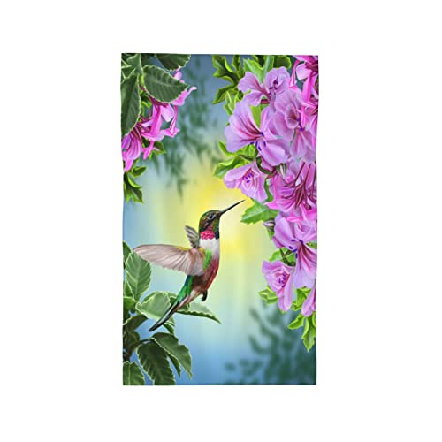 Hummingbird