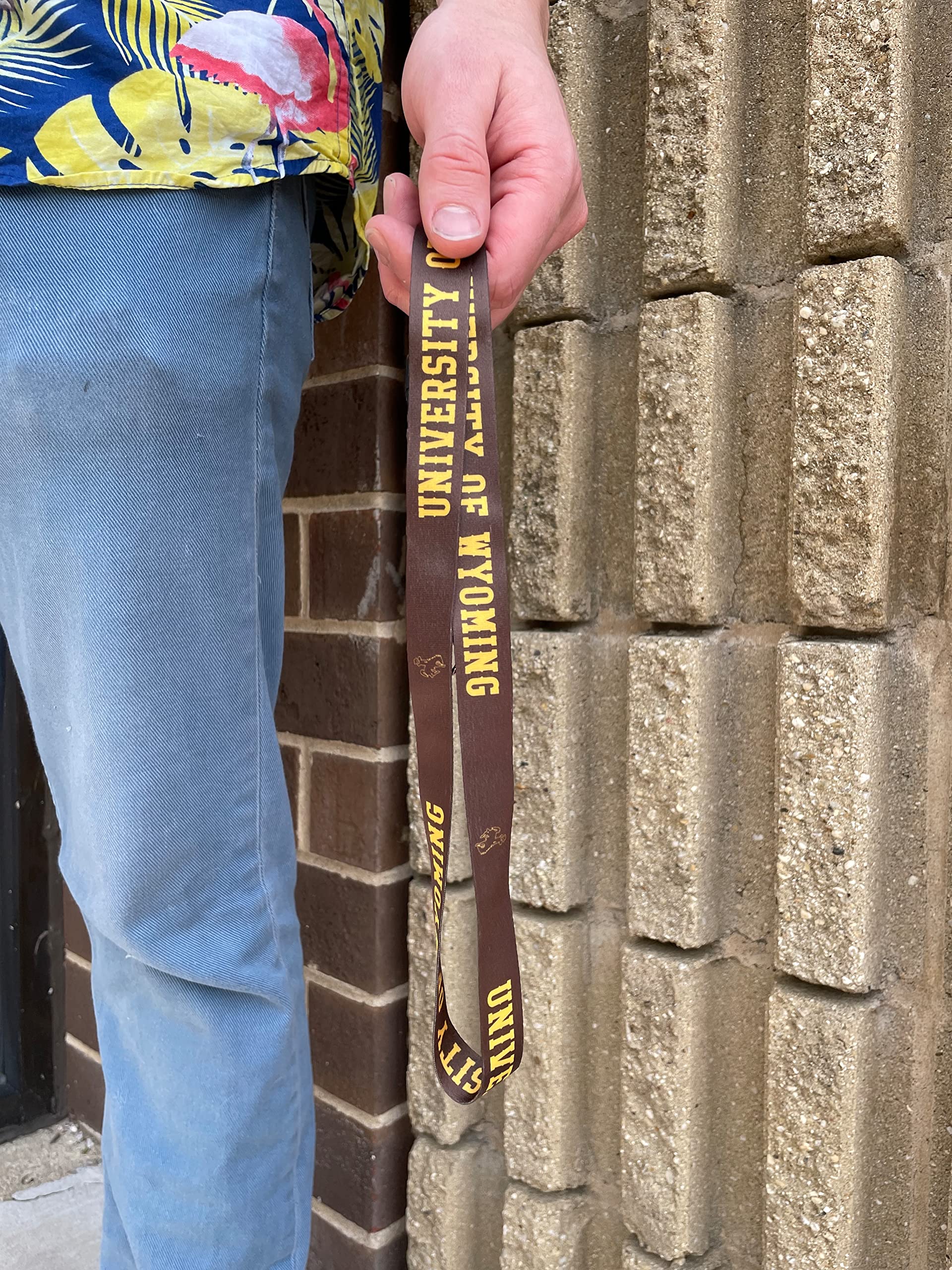 University of Wyoming UWYO Cowboys Lanyard - Detachable Breakaway Keychain with Snap Buckle for Car Keys & ID Badge Holder (Brown) | Perfect for Campus, Work & Events