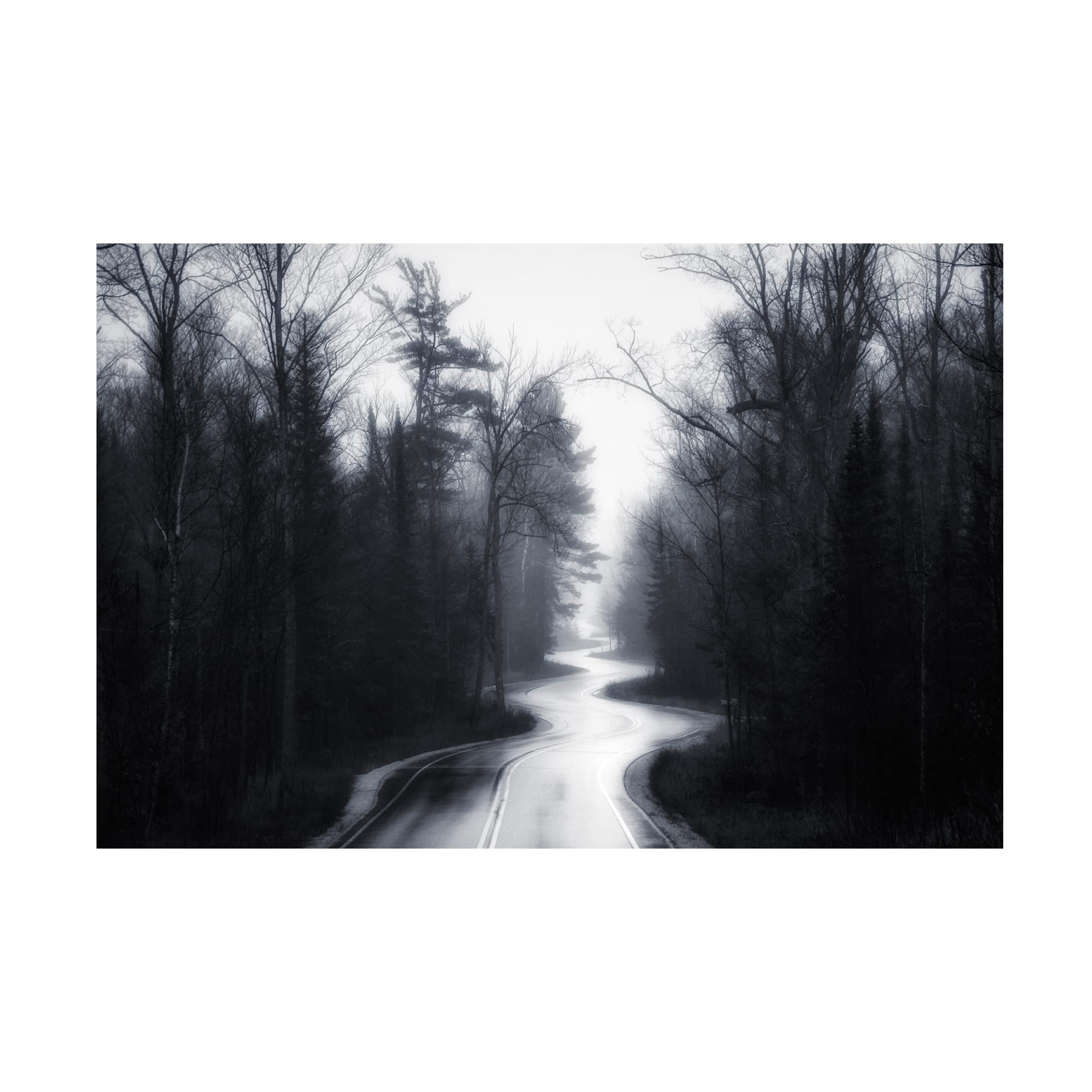 David Rothstein 'Slalom' Canvas Art Print - Modern Abstract Wall Decor for Living Room, Bedroom & Office - Trademark Fine Art Collection