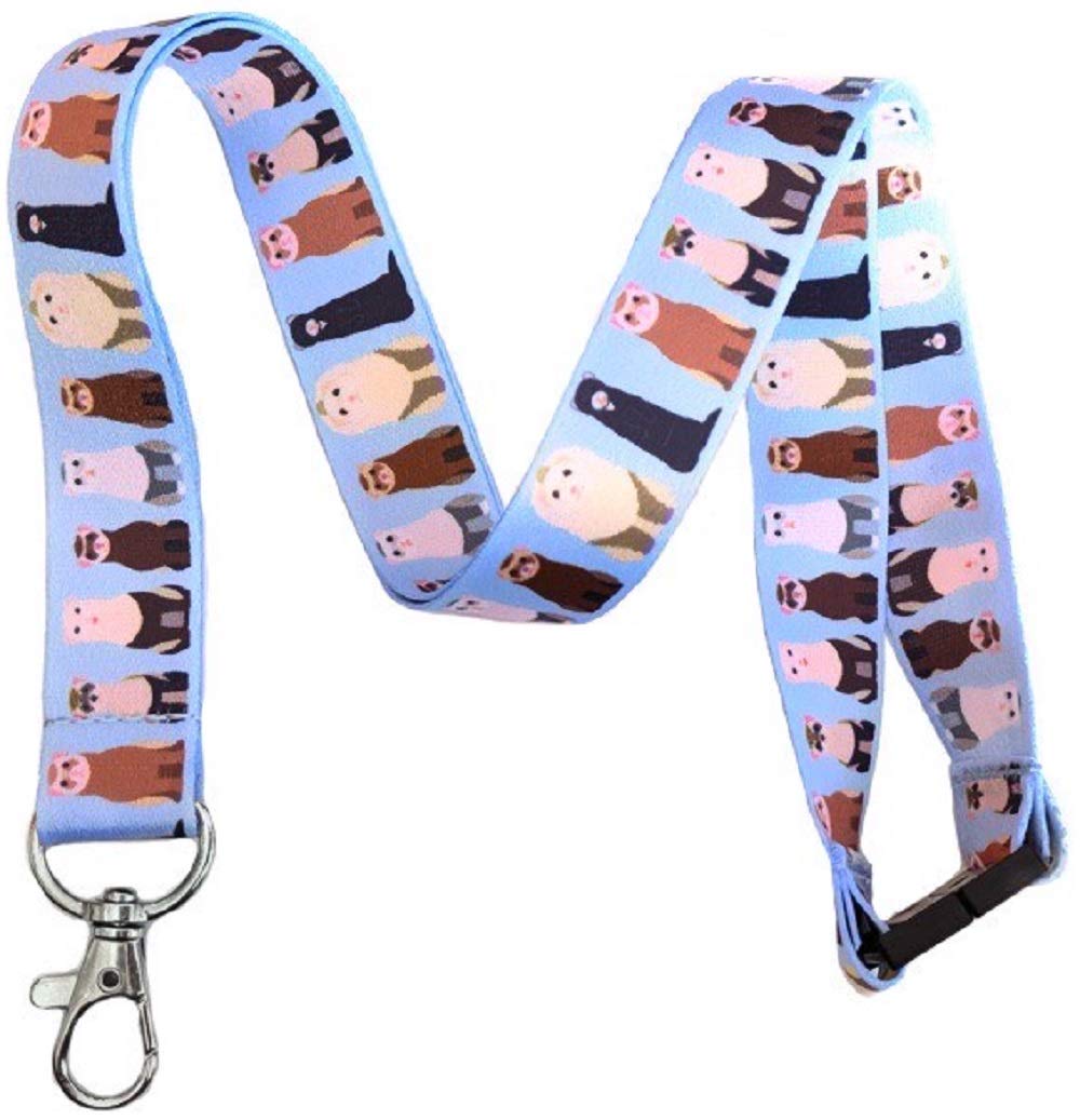 Ferret Breakaway Lanyard Keychain - Small Pet ID Badge Holder for Ferrets, Hamsters & Rodents - Perfect for Vet Visits, Pet Shows & Animal Care Professionals