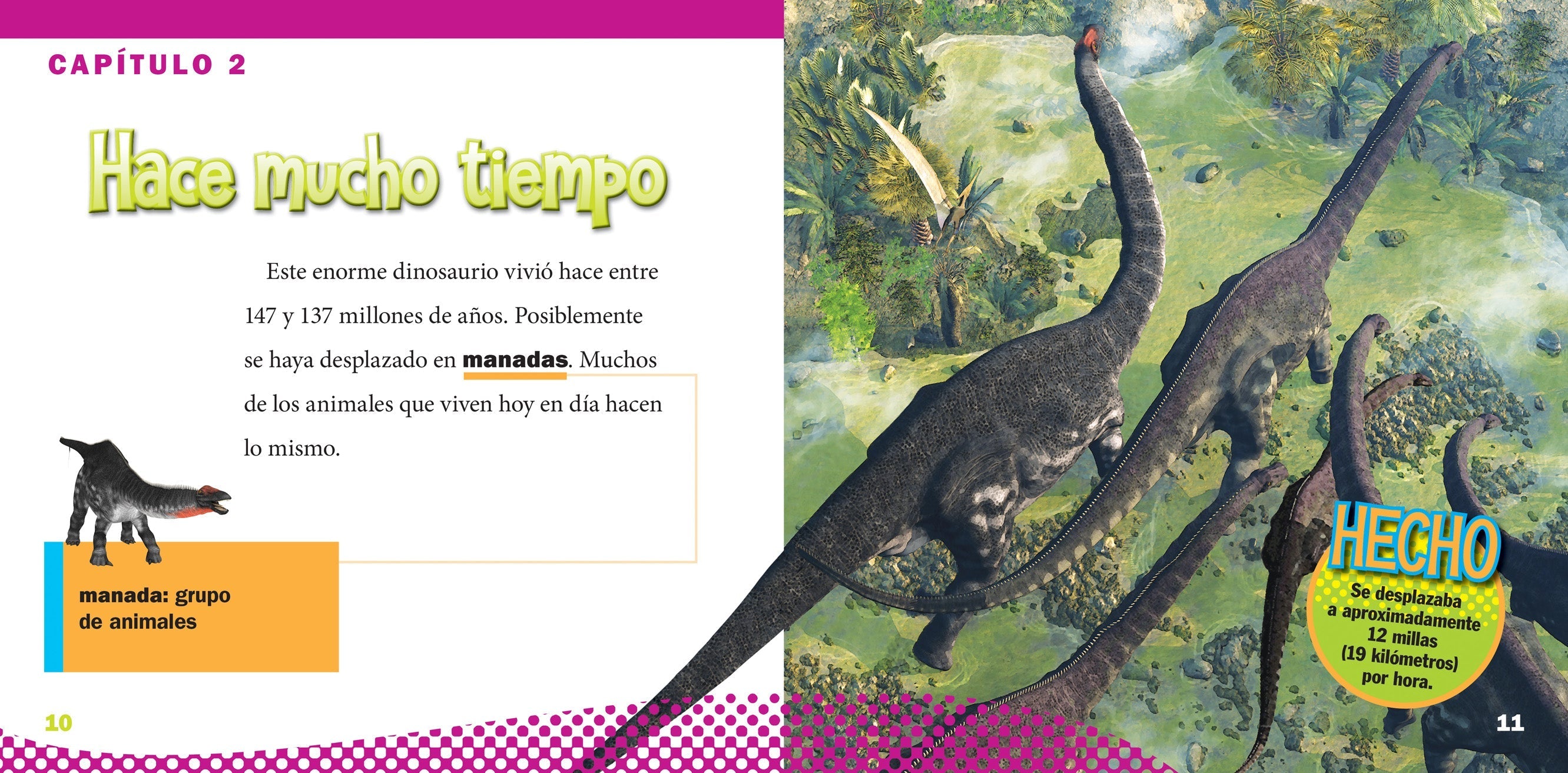 Apatosaurus Dinosaur Book 9781623105402 - Educational Kids Book for Learning & Fun, Perfect for School Projects & Gifts