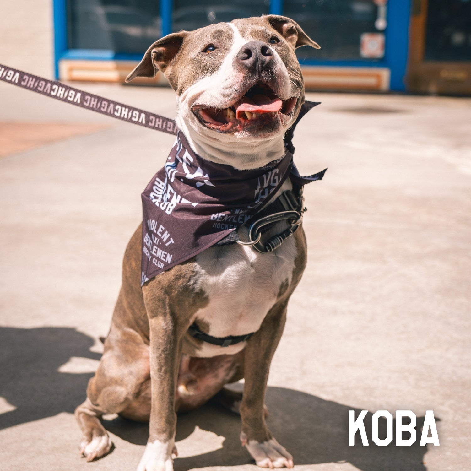 Premium Dog Bandana - Customizable Pet Bandana for Dogs & Cats - Perfect for Pet Grooming, Photos & Special Occasions