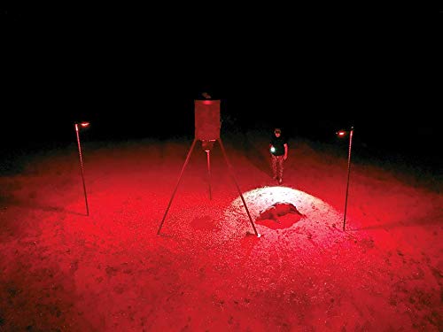 Elusive Wildlife Kill Light Outfitter - Motion Activated Feeder Light with Remote Control for Hunting, Night Wildlife Observation & Security Surveillance