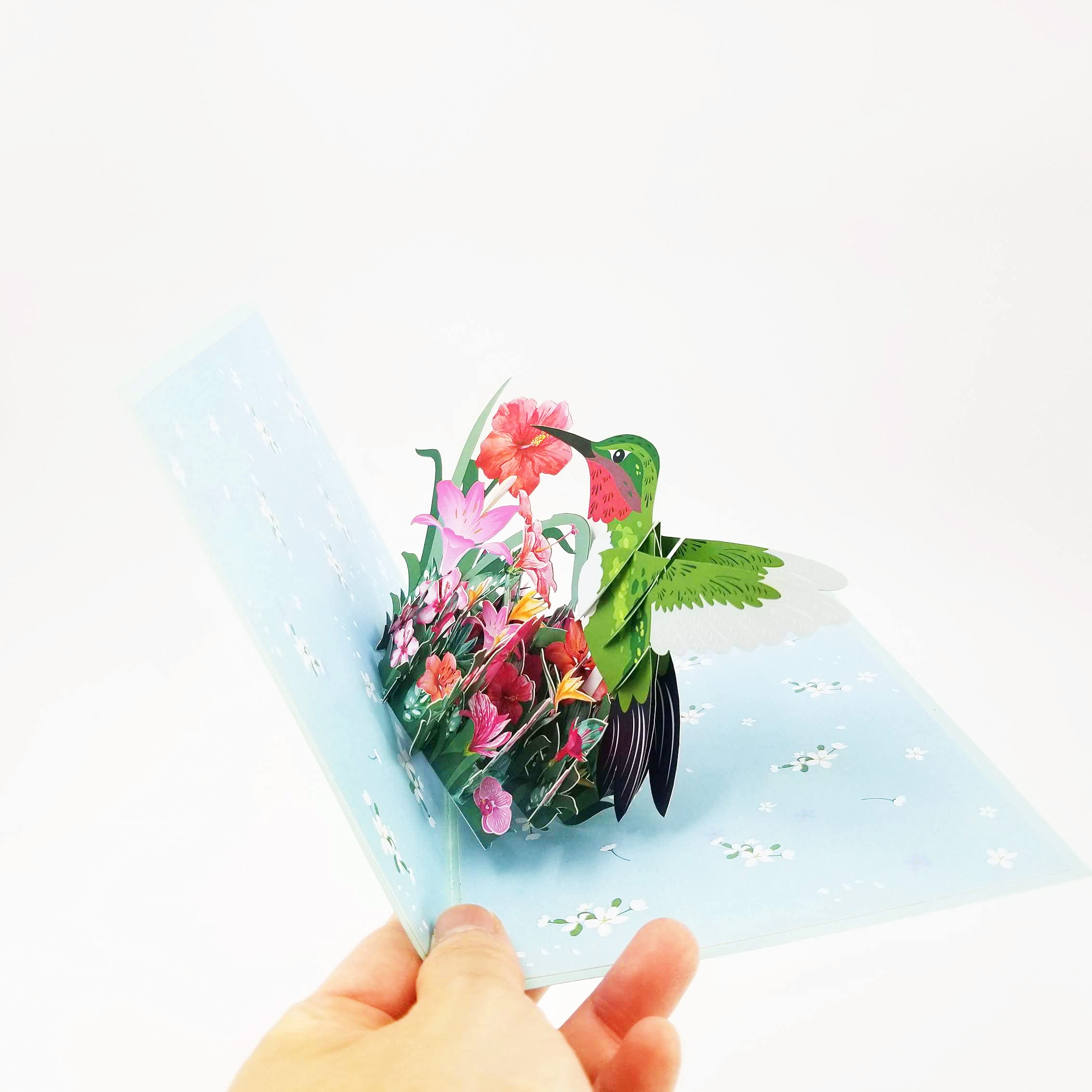 Hummingbird Pop Up Birthday Card - Unique 3D Greeting Card for Birthday, Anniversary, Valentine's Day & Thanksgiving | Perfect Gift for Bird Lovers & Kids | Great for Party Favors & Special Occasions