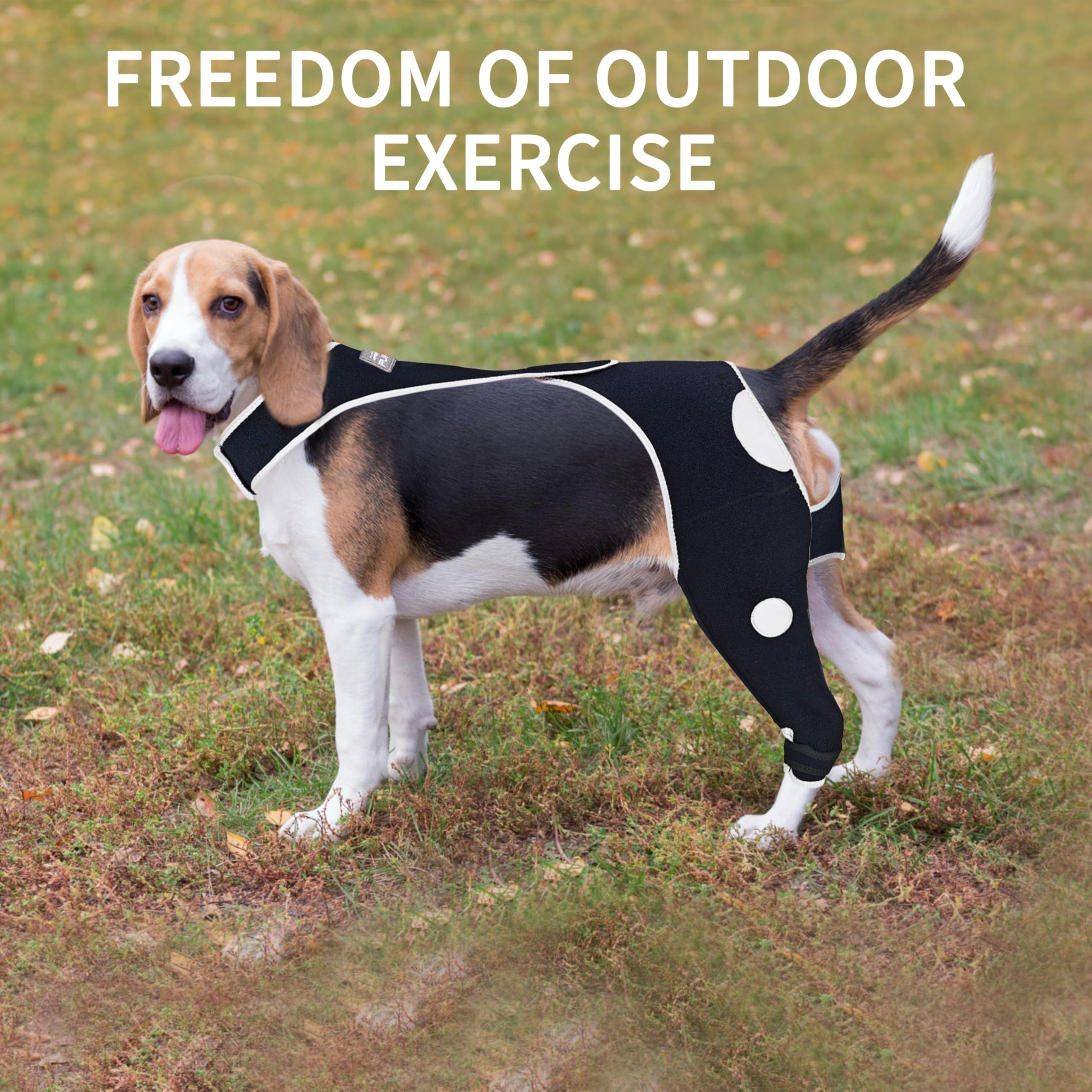 Rear Right Leg Dog Surgery Recovery Suit - Abrasion Resistant & Waterproof Pet Sleeve to Prevent Licking - Reflective Dog Pants Alternative to Cone Collar for Male & Female Dogs (XS) - Ideal for Post-Surgery Care, Wound Protection, and Comfortable Healing