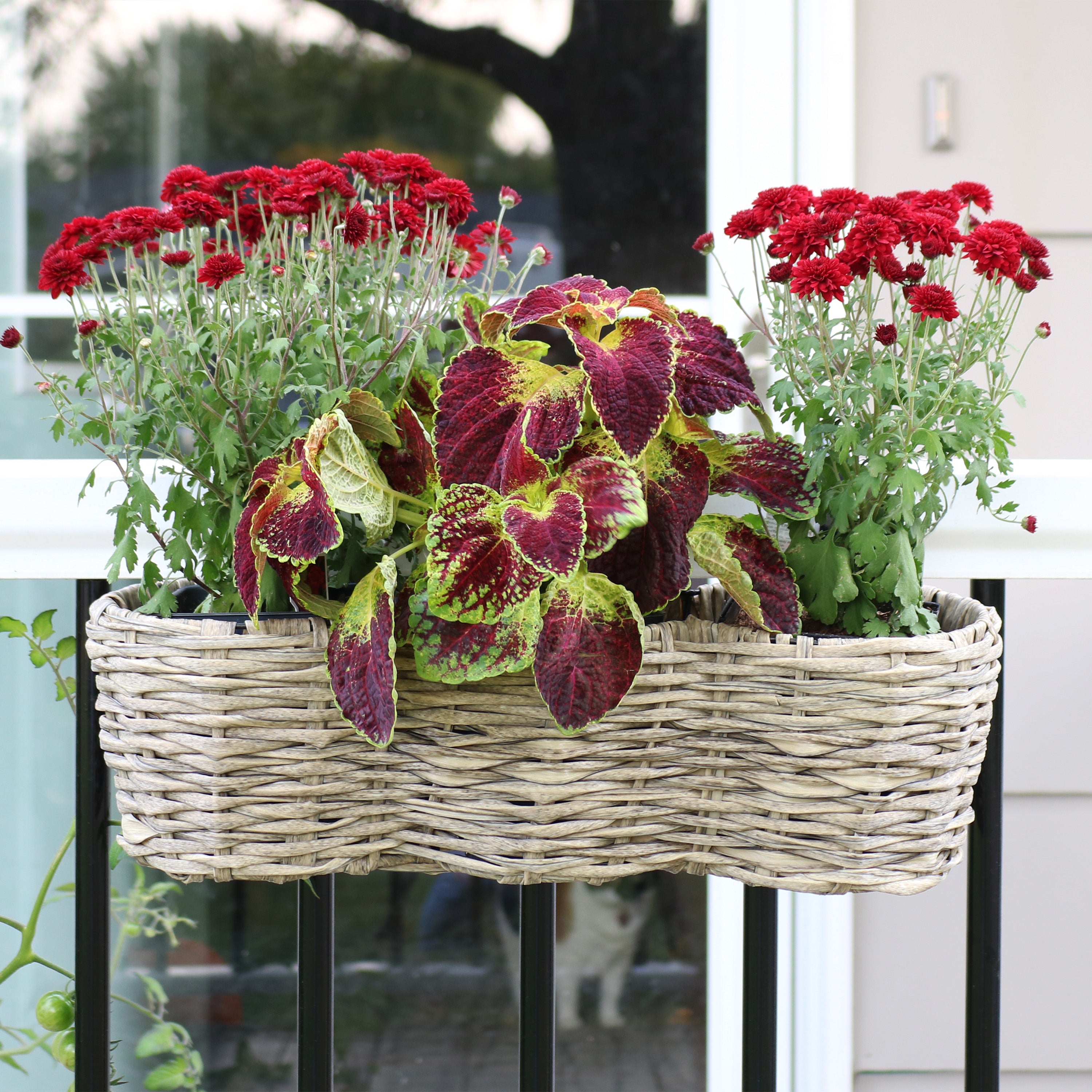 Sunnydaze Round Polyrattan 3-Section Over the Rail Planter - Hanging Flower Box for Balcony, Deck, Porch & Window Railings - Outdoor Garden Decor