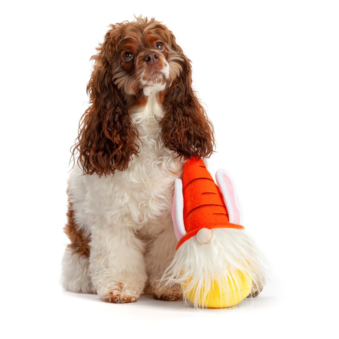 Midlee Easter Bunny Gnome Dog Toy - Cute Holiday Chew Toy for Small & Medium Dogs - Perfect for Easter Playtime & Gifting