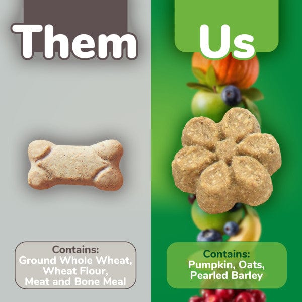 Fruitables Baked Pumpkin & Apple Dog Treats - Healthy Natural Snacks for Small & Large Dogs - Perfect for Training Rewards & Daily Treats