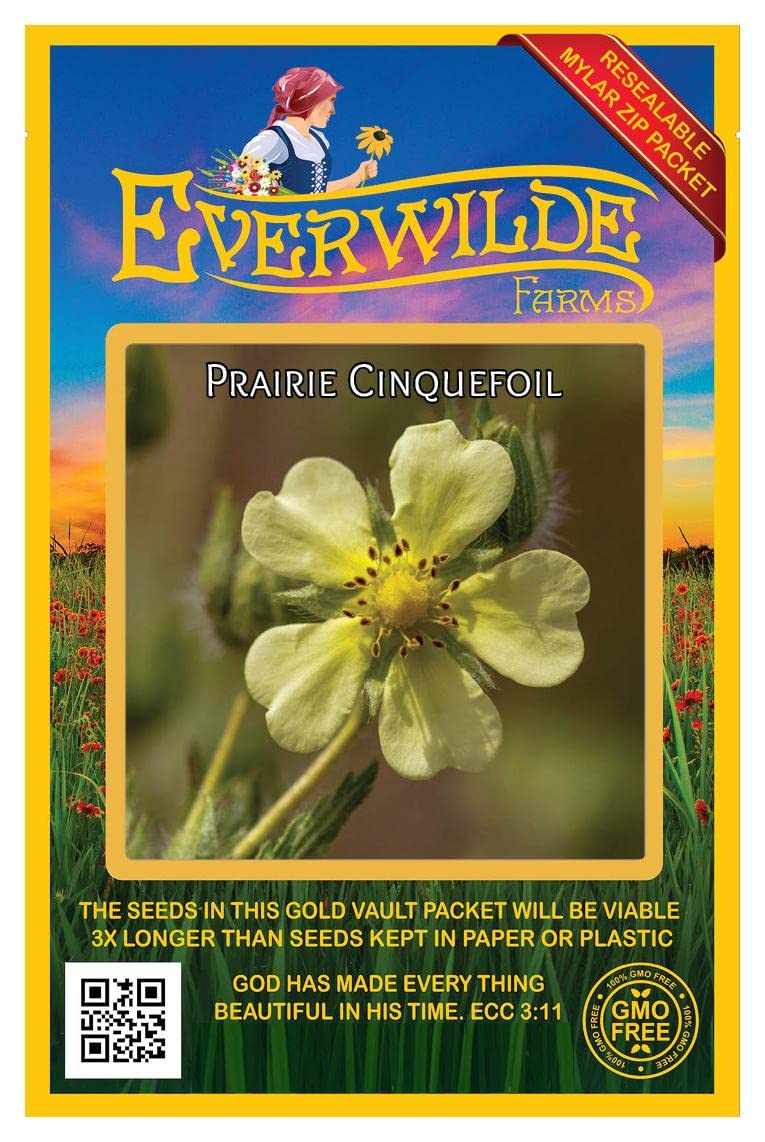 Everwilde Farms - 2000 Prairie Cinquefoil Native Wildflower Seeds - Gold Vault Jumbo Seed Packet for Pollinator Gardens & Landscaping
