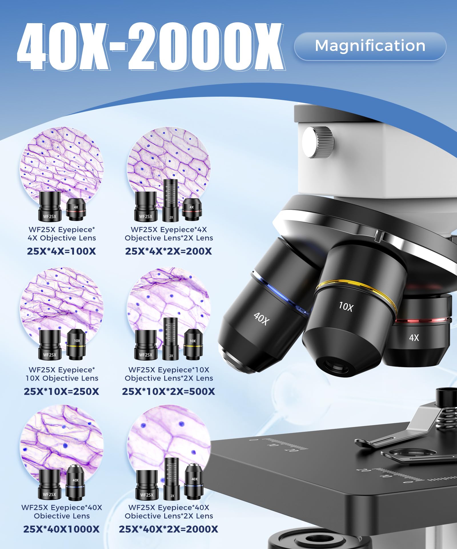 100X-2000X Magnification Microscope for Kids, Students & Adults - Professional Biological Compound Microscope with LED Illumination for School, Lab & Home Science Education | Includes Prepared Slides & Smartphone Adapter (Perfect for Classroom Experiments, Homeschool Learning & Scientific Discovery)