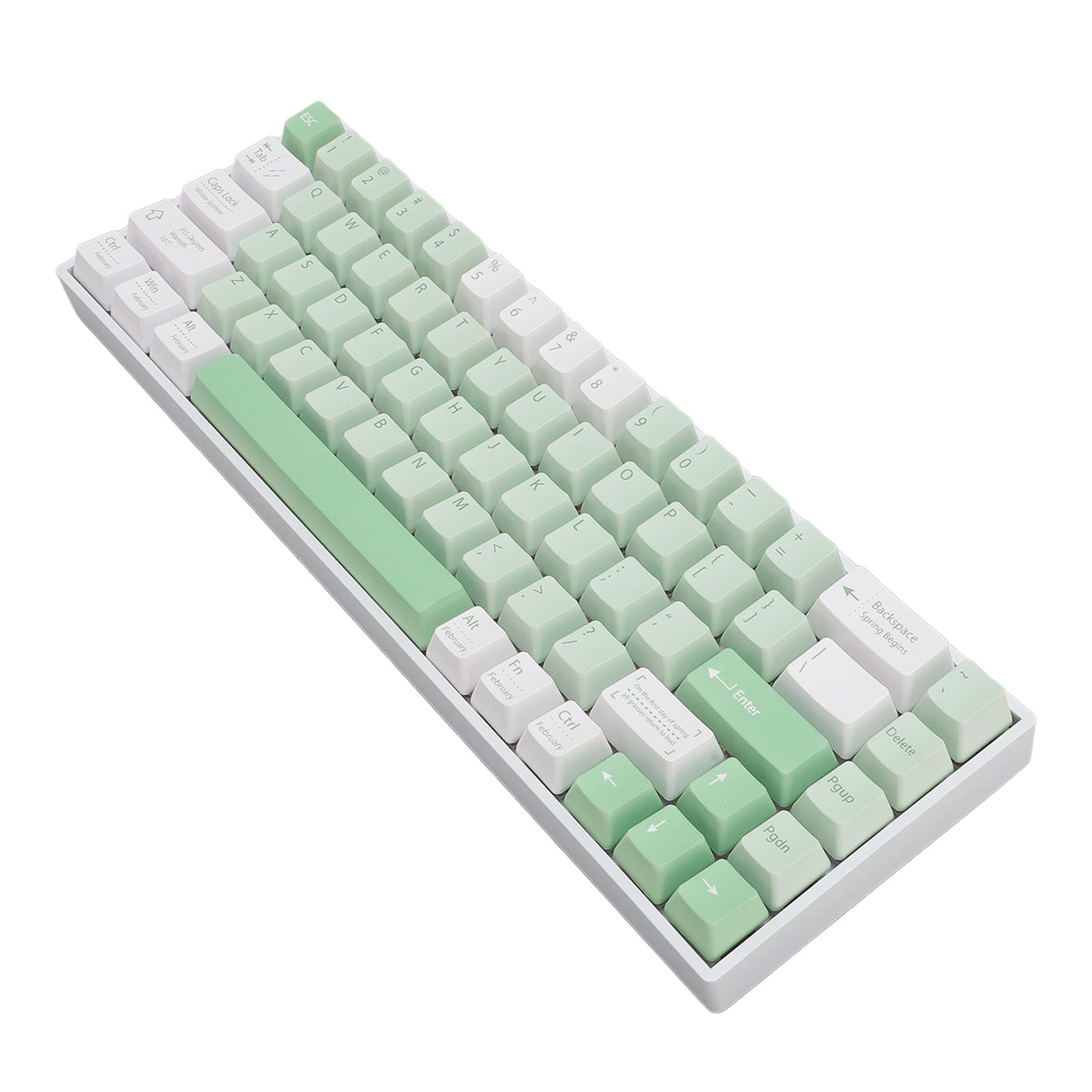 Cuifati 60% Compact RGB Gaming Mechanical Keyboard - Blue Switch, 68 Keys, 3-Mode (Bluetooth 3.0/2.4G Wireless/USB-C Wired) for PC, Laptop & Desktop Gamers | Perfect for Esports, Office Work & Travel