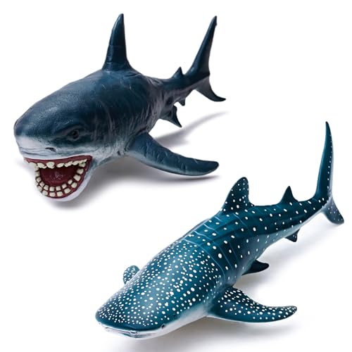 Great White Shark and Whale Shark