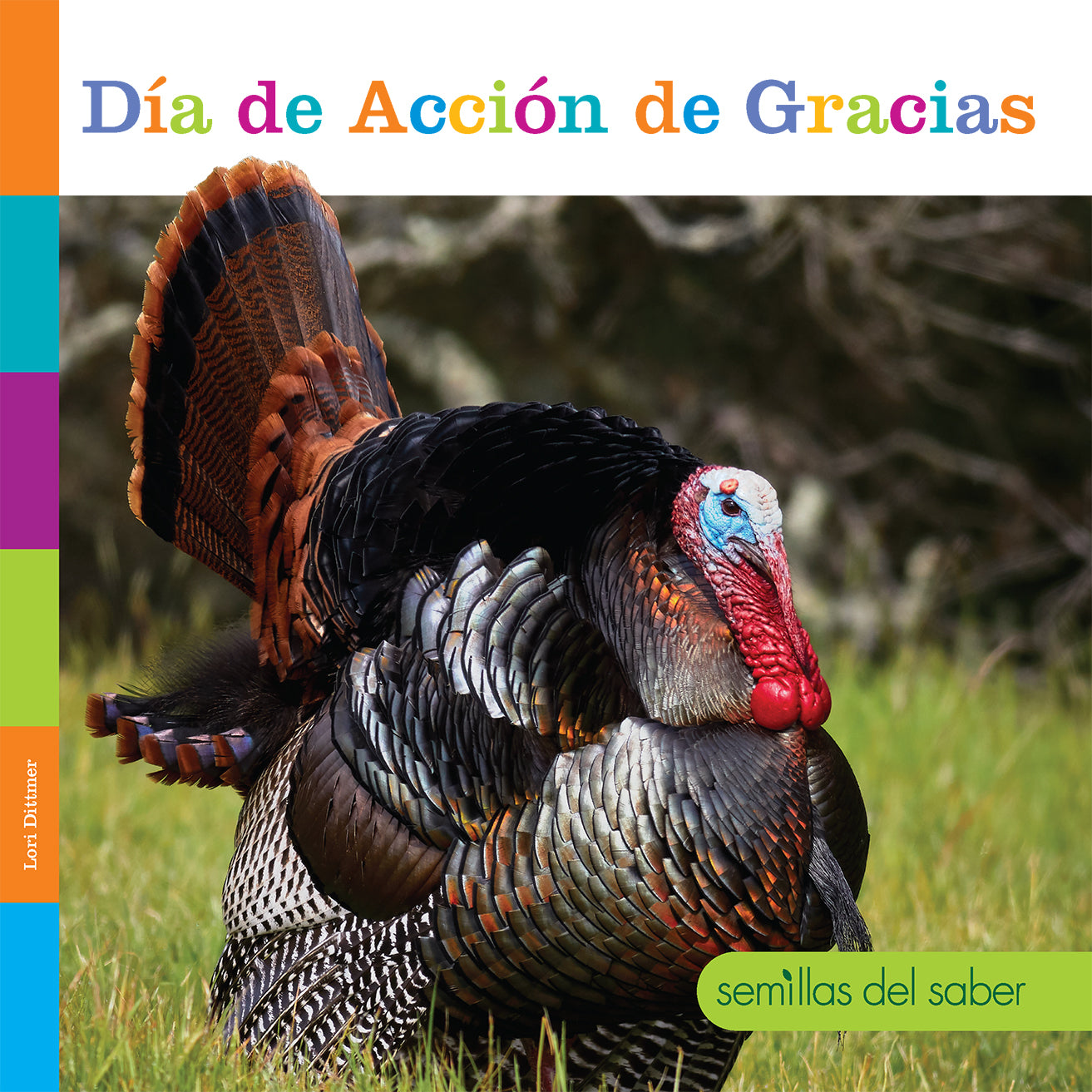 Thanksgiving Decorations & Gifts - Turkey, Pumpkins, Fall Leaves for Home, Party & Holiday Celebration
