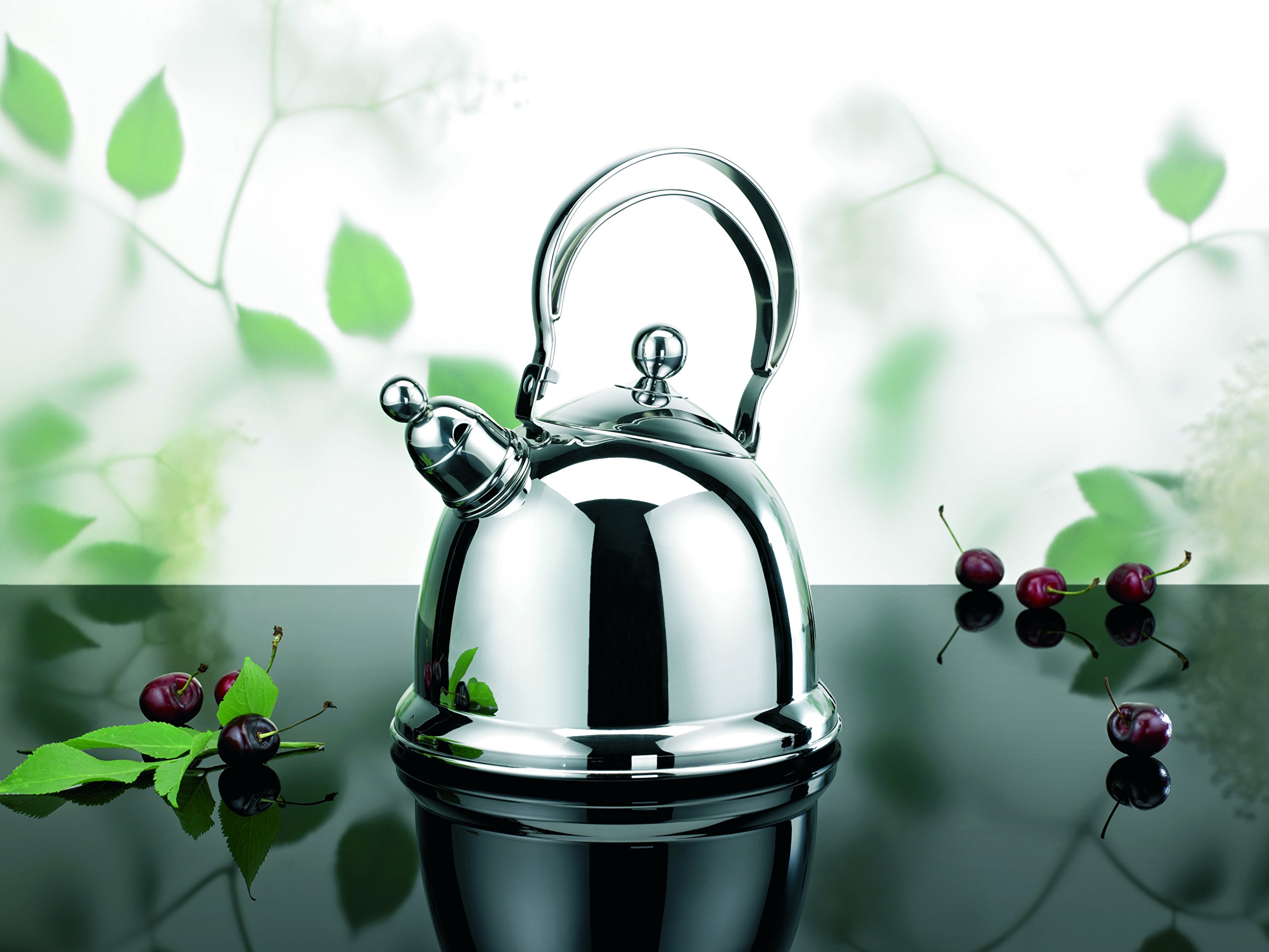 Grace 68042-16 Stainless Steel Whistling Tea Kettle - 2.5QT Classic Stovetop Whistling Teapot for Gas & Electric Stoves - Perfect for Tea Lovers, Home & Kitchen Use