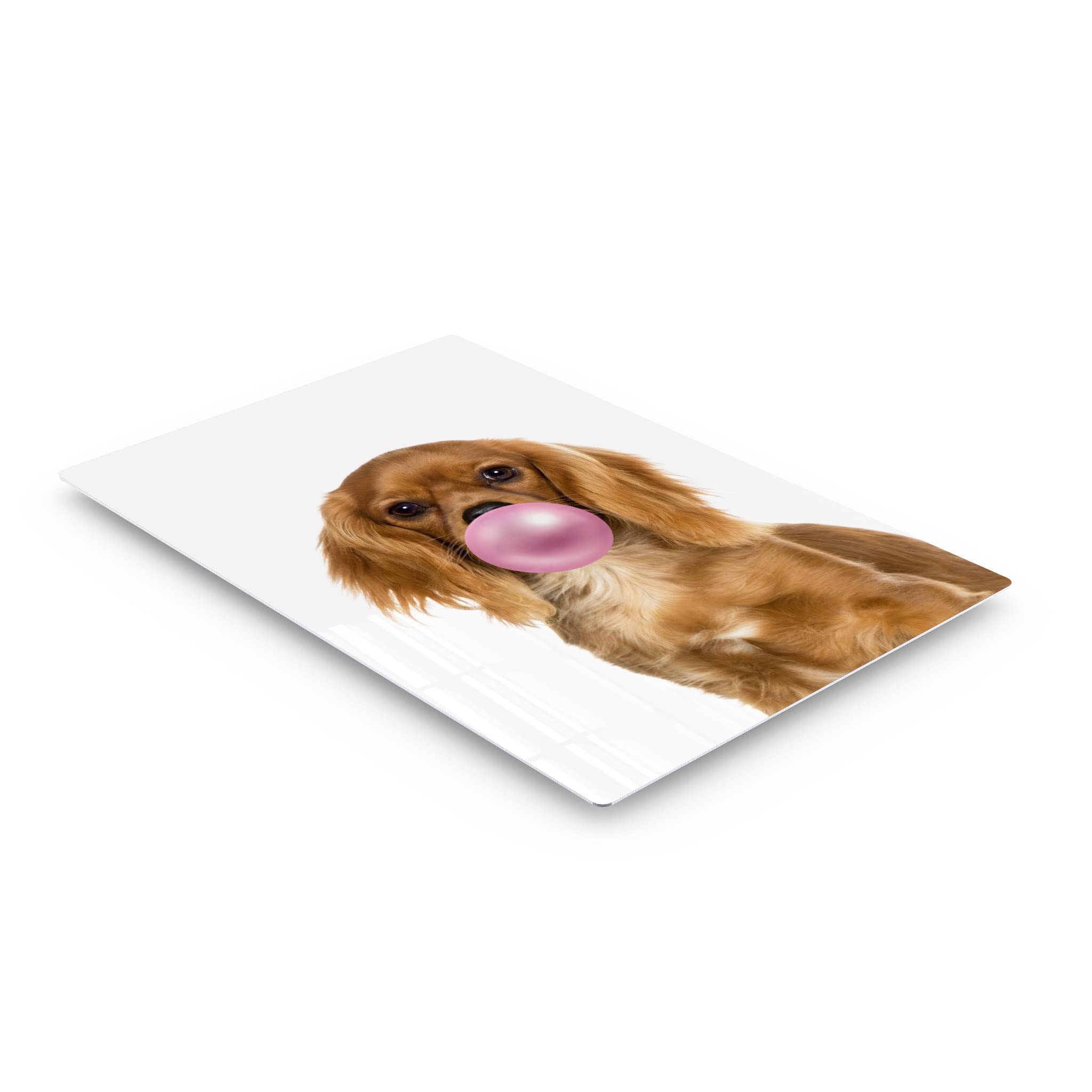 Cavalier King Charles Spaniel Dog Chewing Bubble Gum - Pop Art Metal Wall Print - Pet Lover Gift for Living Room, Bedroom, Nursery Decor (40x30 Inches) - Fun & Playful Animal Art for Dog Owners & Kids