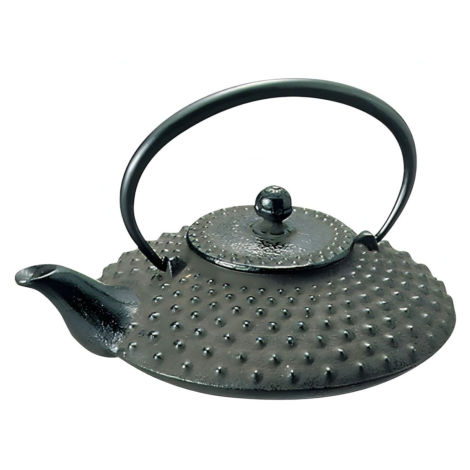 Premium Iwachu Nambu Cast Iron Atsukan Sake Warming Bottle with Arare Texture - Perfect for Japanese Tea Ceremony, Hot Sake Serving & Home Bar Accessories