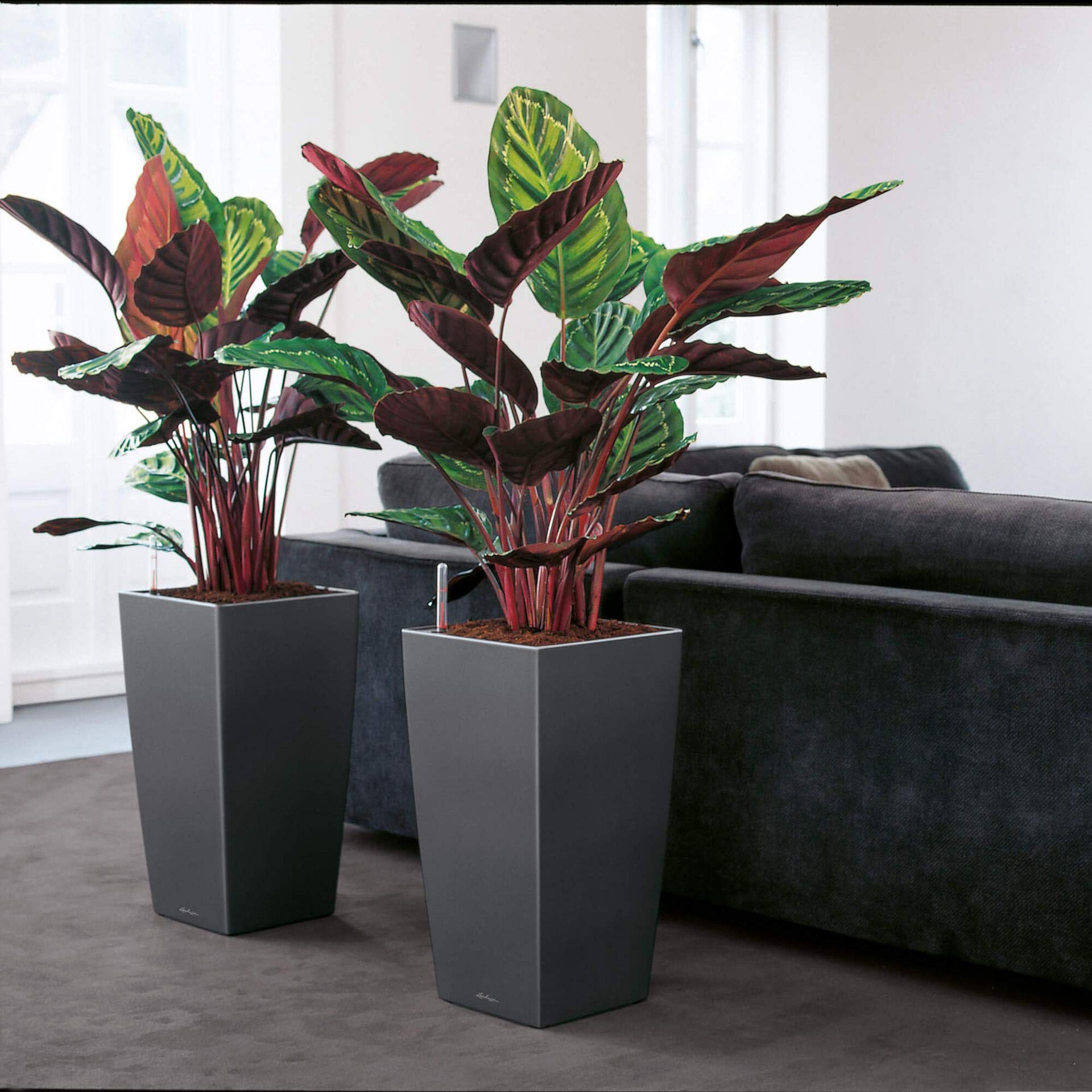 Lechuza CUBICO Premium 40 Self-Watering Plant Pot - Scarlet Red High Gloss (Model 18193) | Indoor Flower Pots for Home & Office Decor | Perfect for Living Room, Balcony & Garden