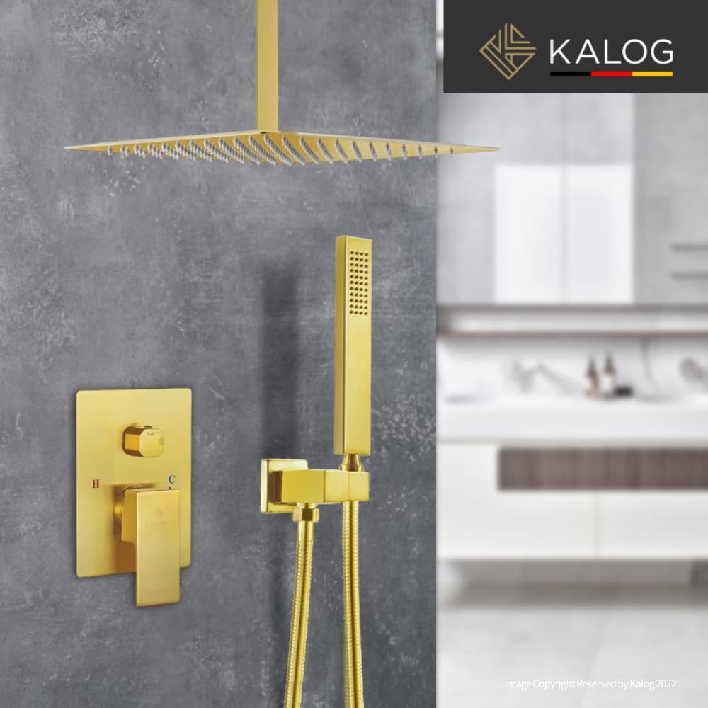 Kalog 12