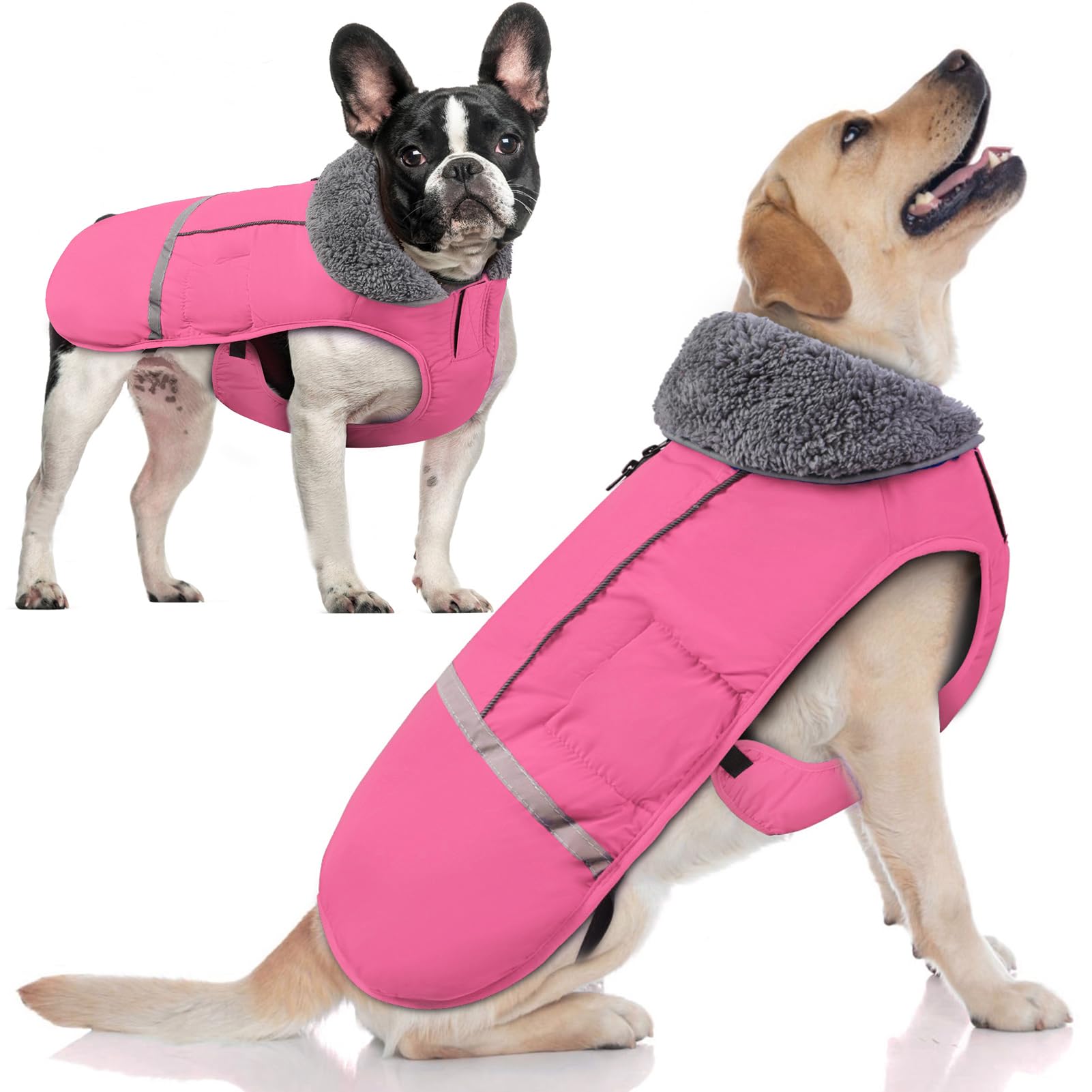 Doglay Waterproof Dog Jacket for Winter - Thick Fleece Lined Coat with Furry Collar & Reflective Strips | Small Medium Large Dog Snow Coat for Cold Weather | Perfect for Outdoor Walks, Hiking & Snowy Adventures
