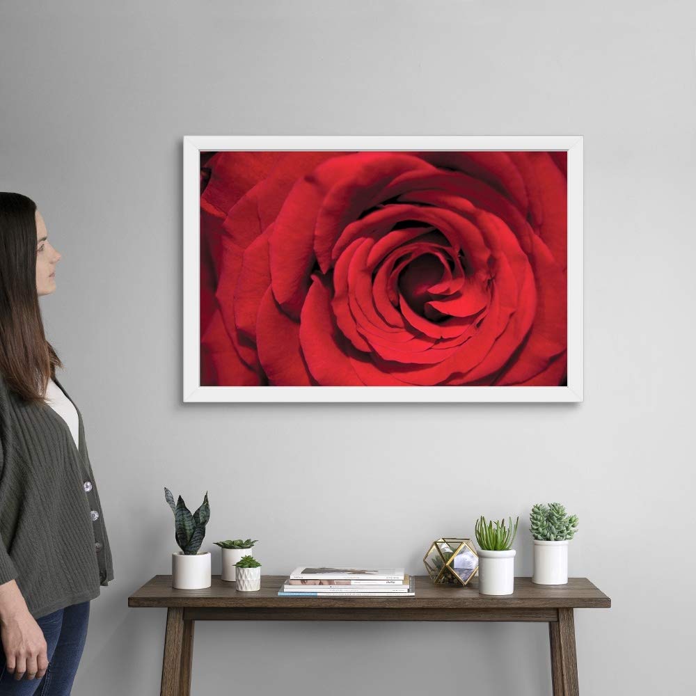 Red Rose Detail White Framed Art Print - Elegant Floral Wall Decor for Living Room, Bedroom & Office | Premium Rose Artwork for Home & Gifts