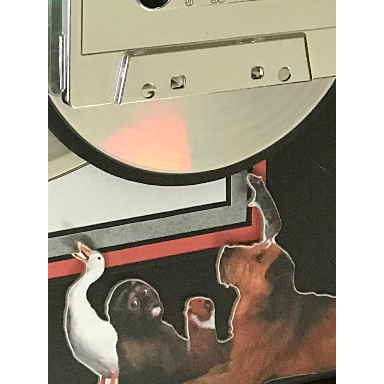 Doctor Dolittle 1998 Original Motion Picture Soundtrack - 2x Multi Platinum Certified Album Award - Brand New - Perfect for Movie Collectors & Music Enthusiasts
