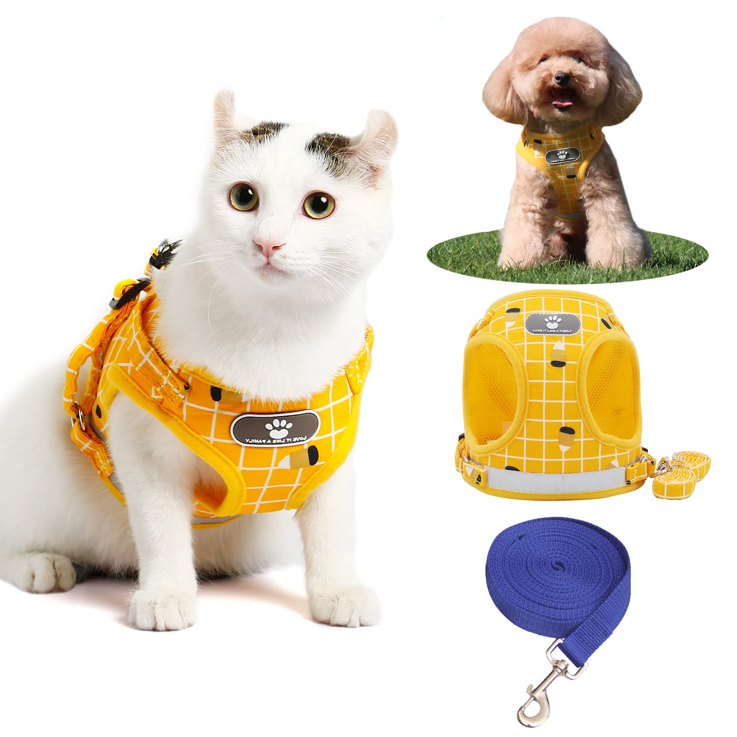SCOKIE Cat Harness and Leash Set - 5m Escape Proof Adjustable Pet Harness for Walking Cats & Small Dogs | Durable Anti-Breakage Design for Outdoor Adventures, Training & Vet Visits