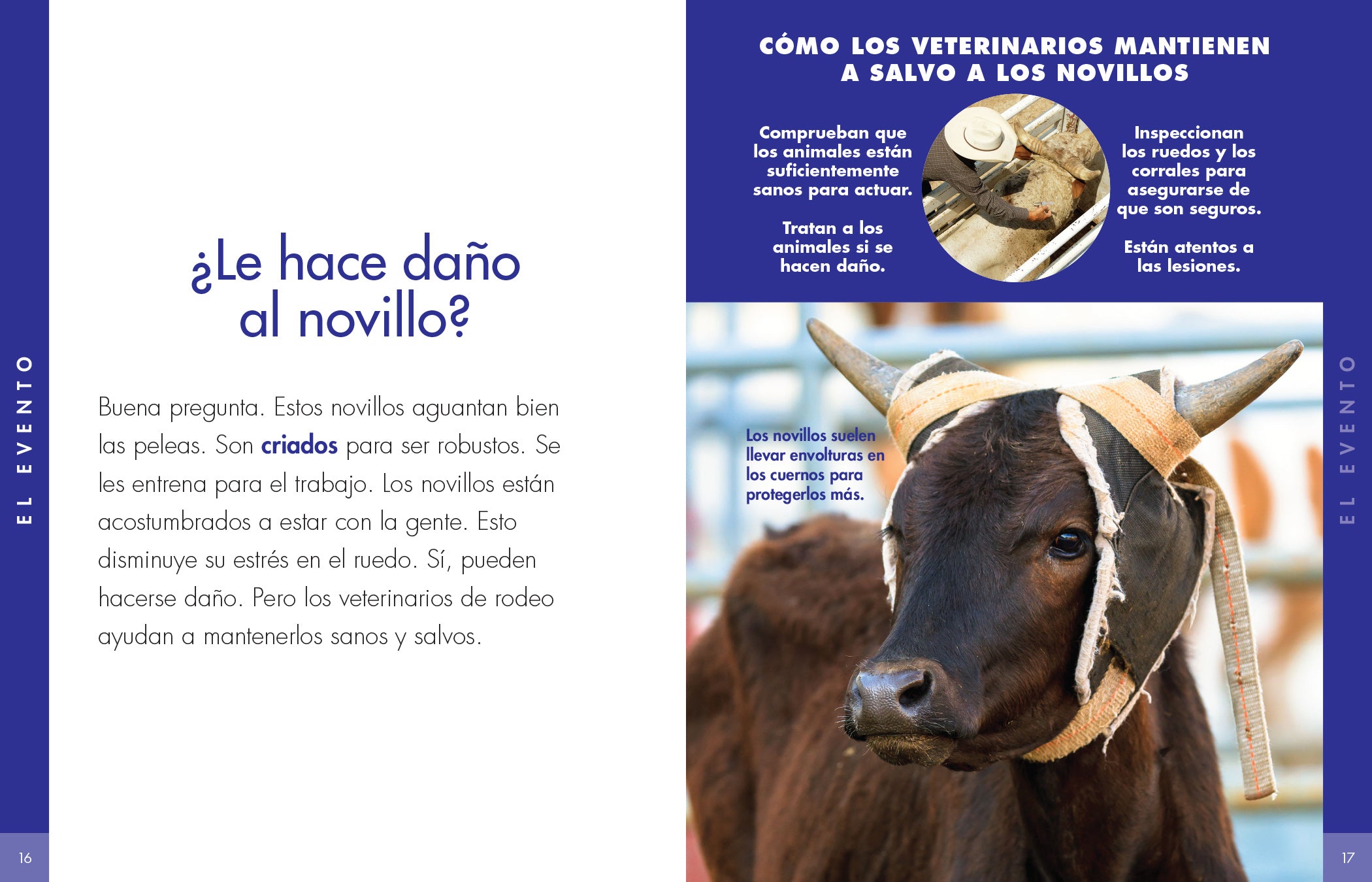Bullfighting Curiosity - Traditional Spanish Bullfighting Souvenirs & Collectibles for Fans and Enthusiasts | Perfect for Home Decor, Gift Giving, and Cultural Displays