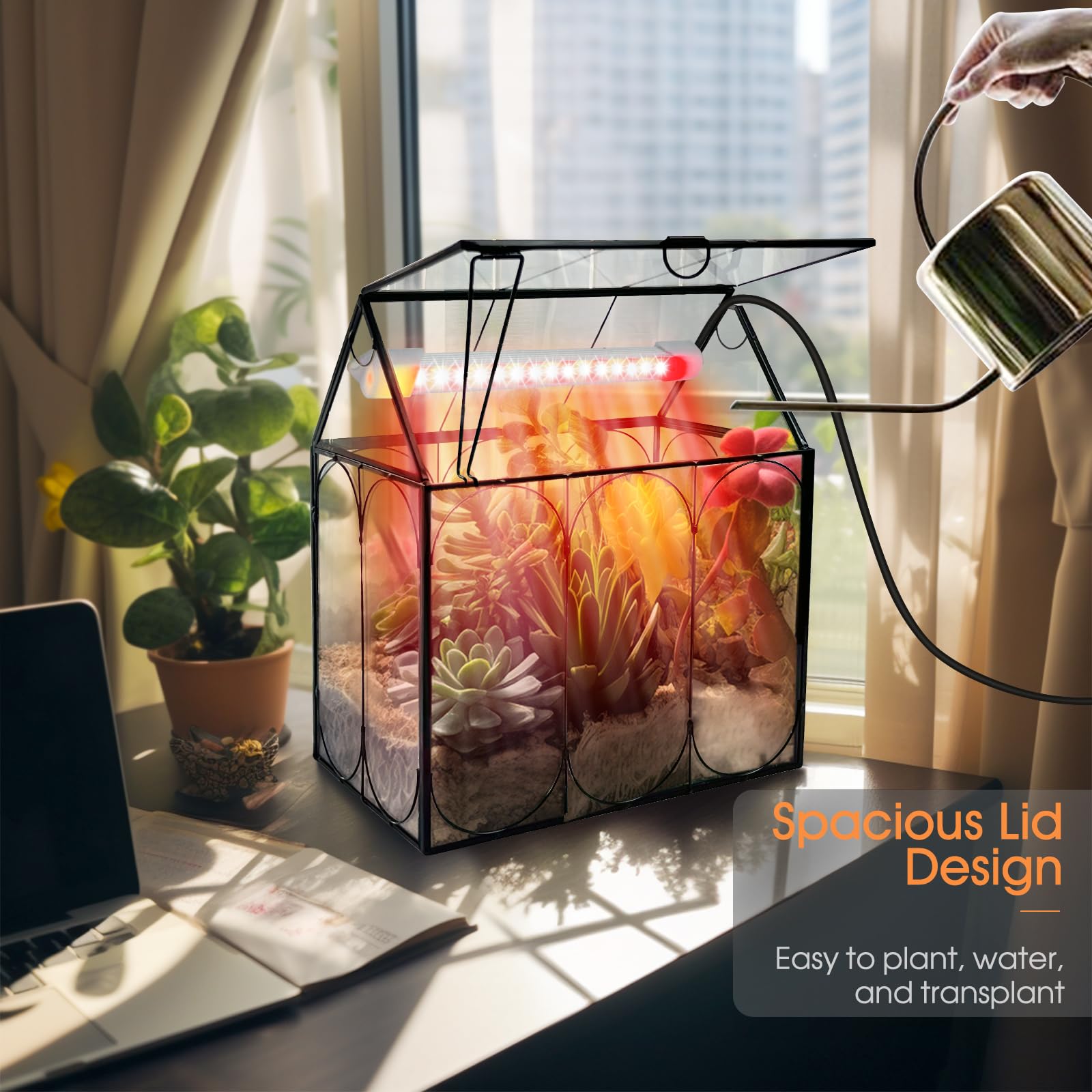 Rifny Indoor House Shape Glass Terrarium Kit with Grow Light & Lid - Small Plant Terrarium Jar for Venus Fly Trap, Succulents & Air Plants - Perfect Home & Office Decor (Plants Not Included) | Great for Desktop Decor, Gift Ideas & Indoor Gardening Enthusiasts