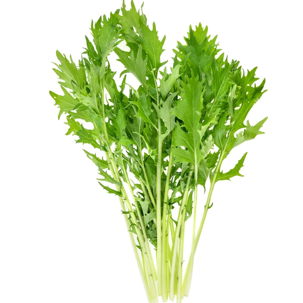 Heirloom Mizuna Japanese Mustard Greens Seeds - 900 Non-GMO Seeds for Home Gardening, Salads & Stir Fry | Premium Asian Vegetable Seeds for Indoor & Outdoor Planting