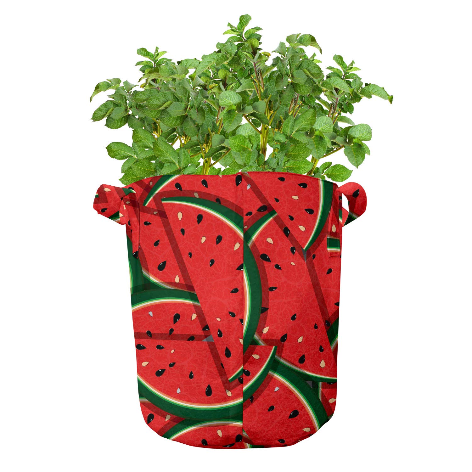 Ambesonne 5-Pack Heavy Duty Fabric Grow Bags with Handles - Watermelon Slice Print Plant Pots for Fruits & Vegetables (Hunter Green/Red) - Ideal for Indoor Gardening, Balcony Plants & Urban Farming