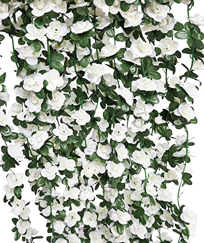 White-05