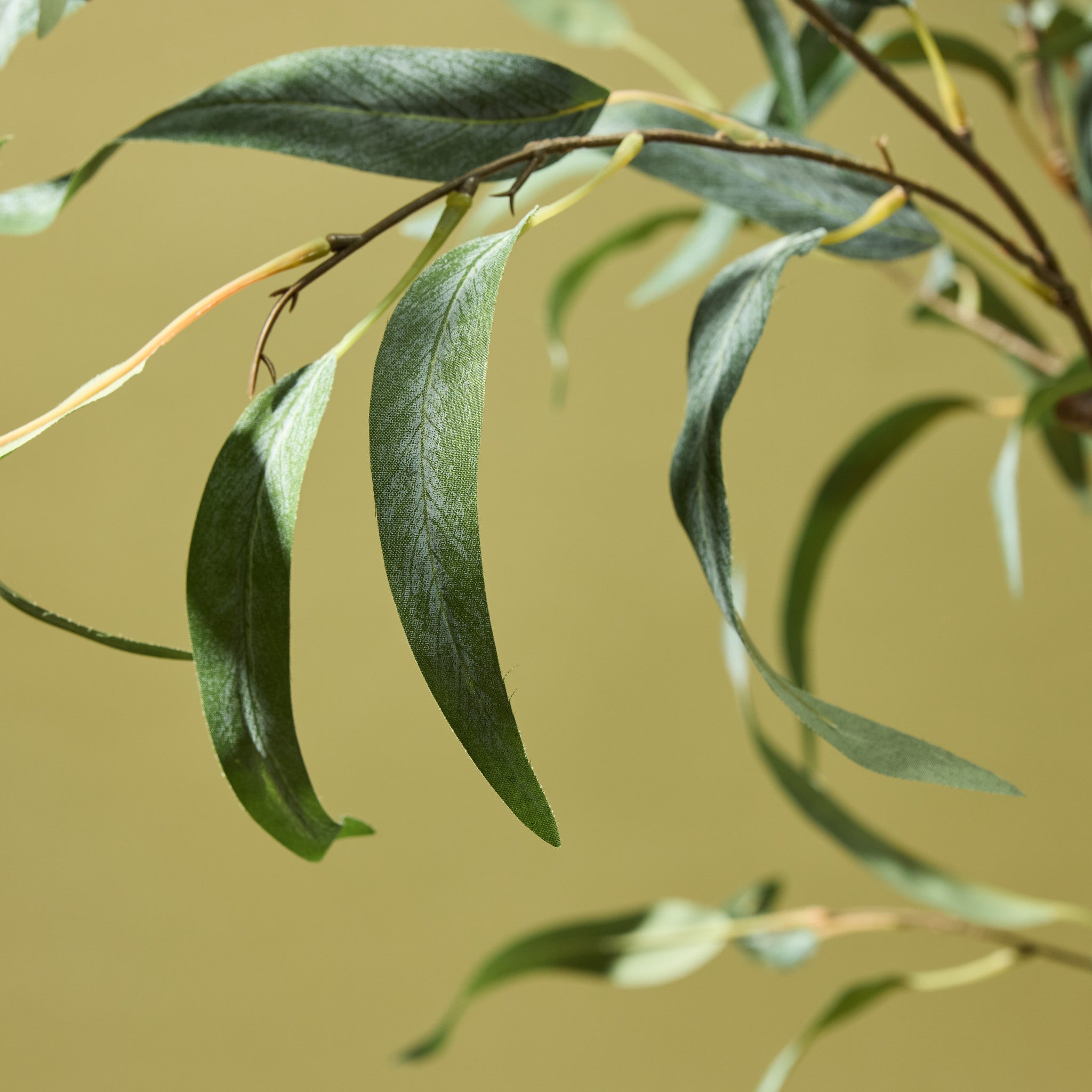 Artificial Eucalyptus Willow Tree - 72 Inch Tall Faux Greenery for Home Decor, Wedding Centerpieces, and Office Styling