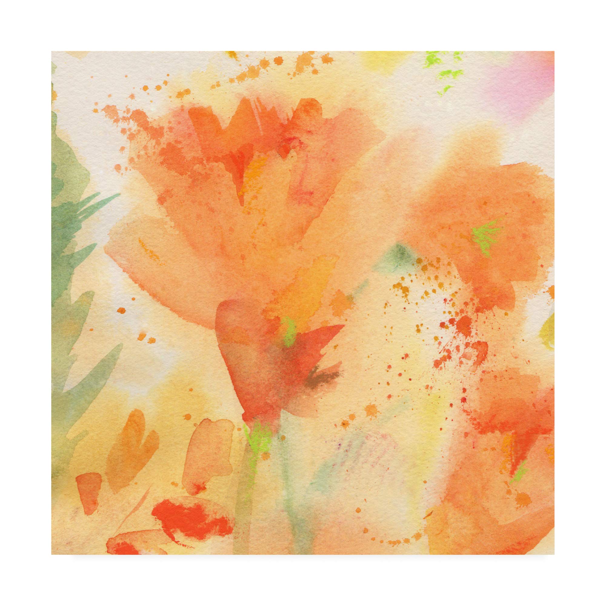 Trademark Fine Art 18x18 Windblown Poppies #2 by Sheila Golde - Stunning Floral Canvas Wall Art for Living Room, Bedroom & Office Decor
