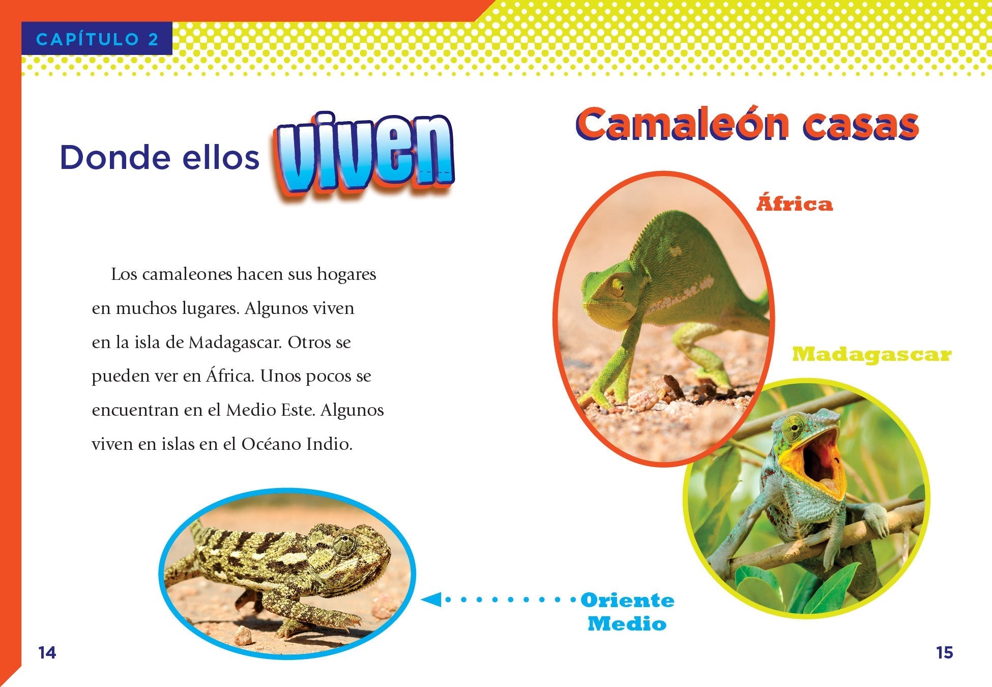 Los Camaleones 9781623109585 - Chameleons Book for Kids & Adults - Perfect for Animal Lovers, Science Education & Nature Exploration