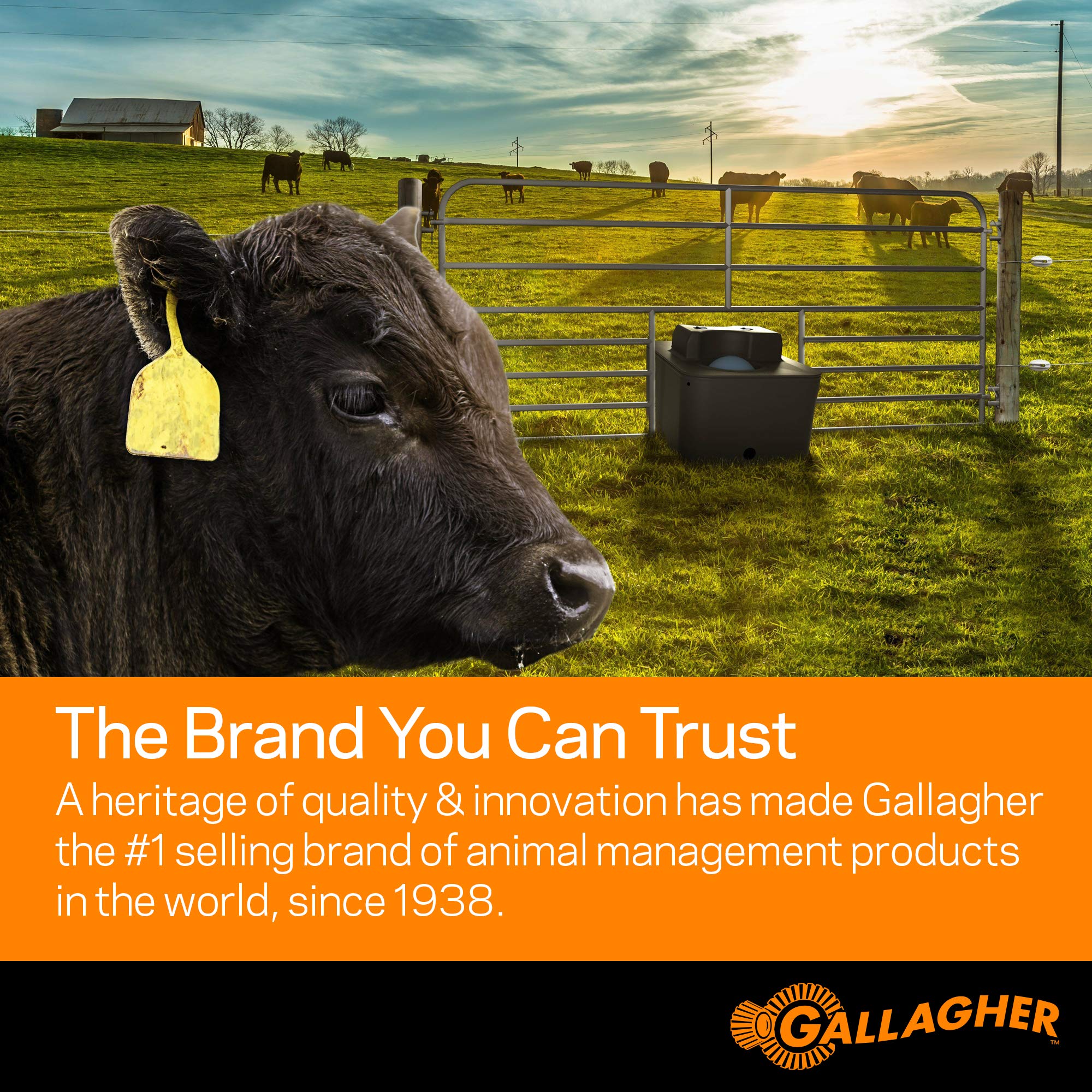 Gallagher G345404 S40 Solar Fence Charger - 12V High Power Electric Fence Energizer for Livestock & Pets - Weatherproof Solar Powered Fence Controller for Farms, Ranches & Gardens