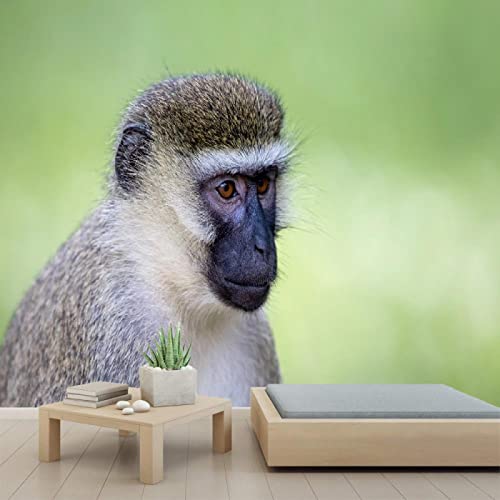 3D Monkey Portrait Peel and Stick Wallpaper | Self-Adhesive PVC Wall Mural for Bedroom & Study Room | 78