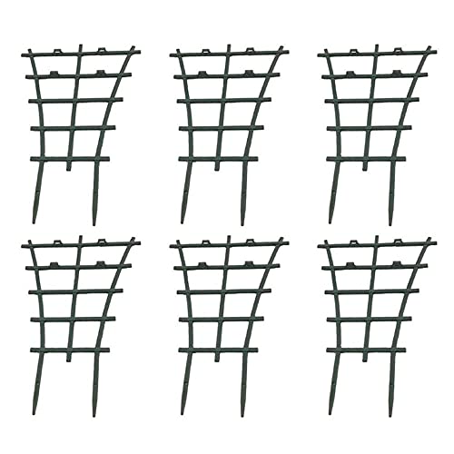 6pcs