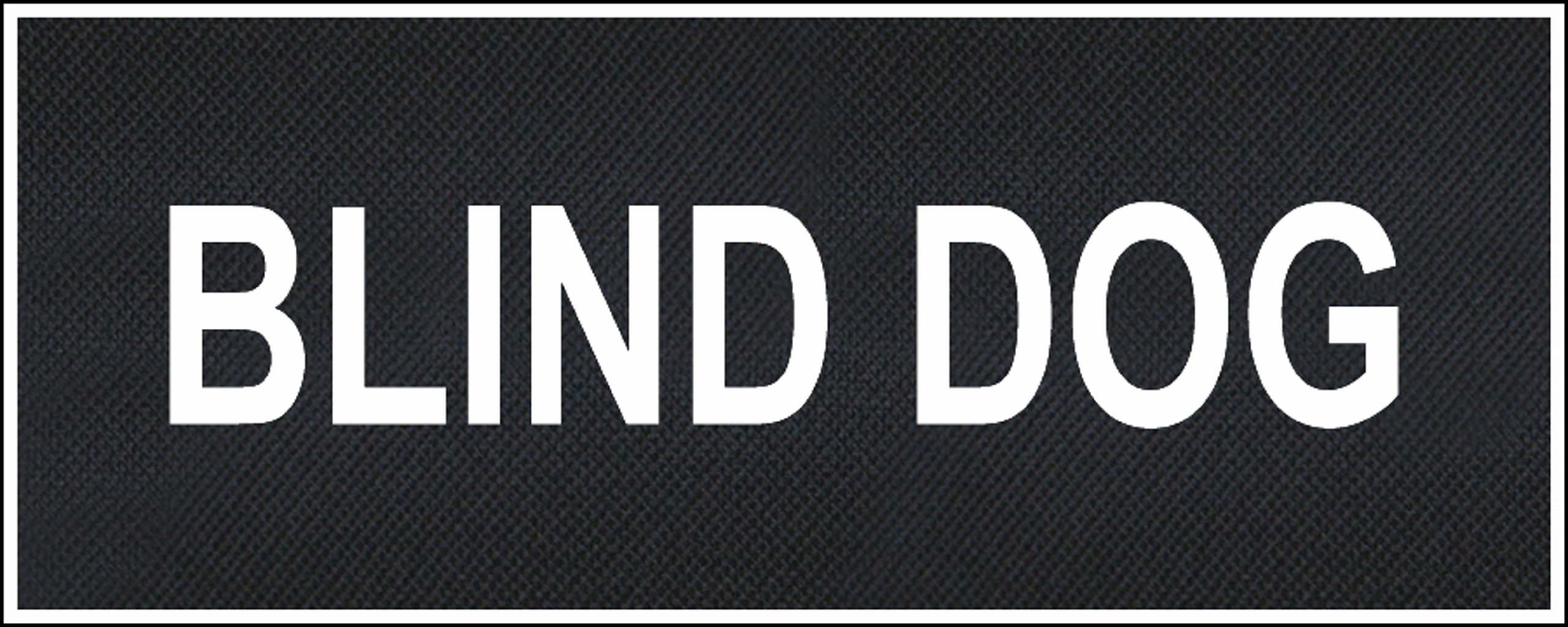 Blind Dog