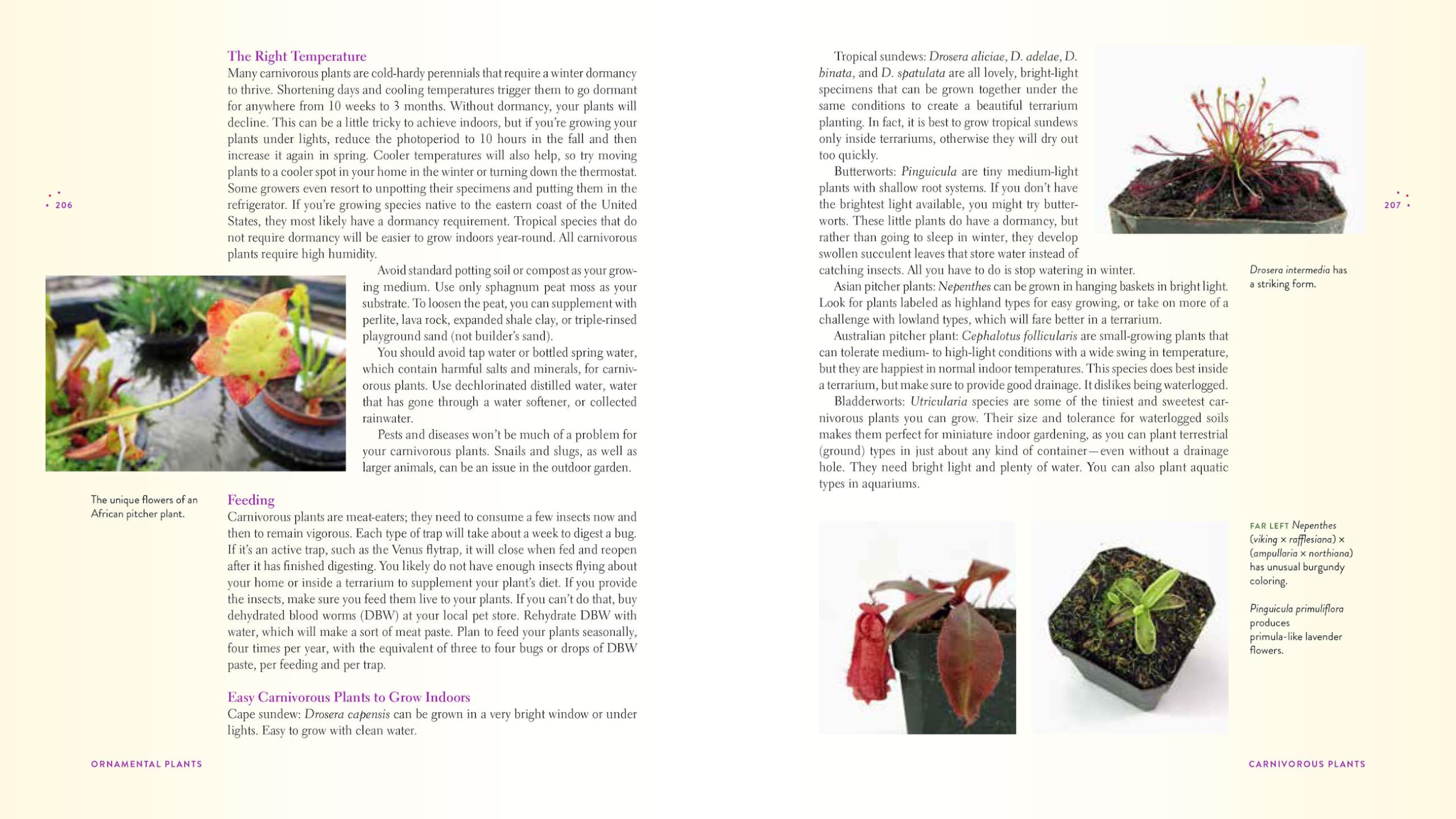 Gardening Under Lights: Complete Guide for Indoor Growers - Tips for Hydroponics, Herbs & Vegetables at Home