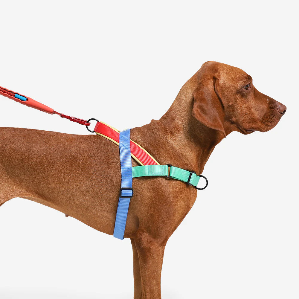 Zee.Dog Mellow Softer Walk No-Pull Dog Harness - Comfortable & Adjustable Pet Harness for Small, Medium & Large Dogs - Perfect for Walking, Training & Outdoor Adventures