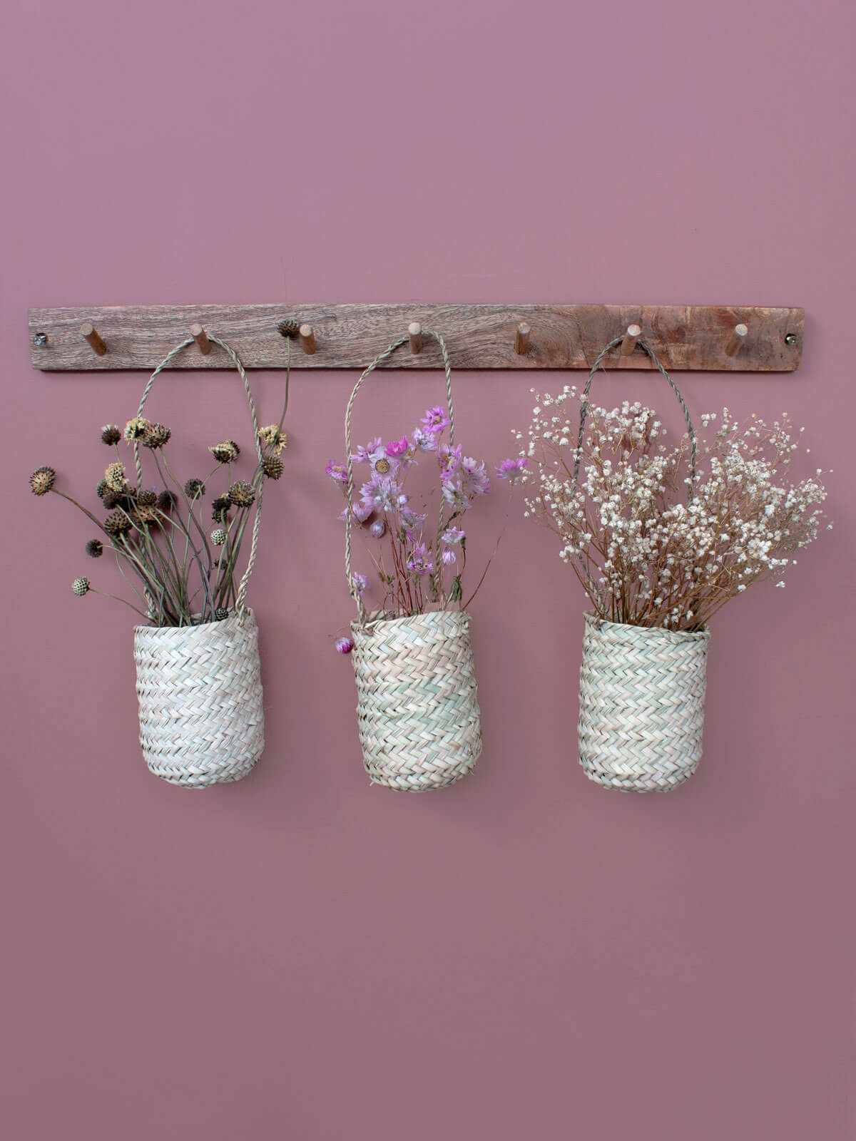 Mini Hanging Planter - Small Decorative Flower Pot for Indoor Plants, Succulents & Herbs - Perfect for Home, Office, Balcony & Garden Decor