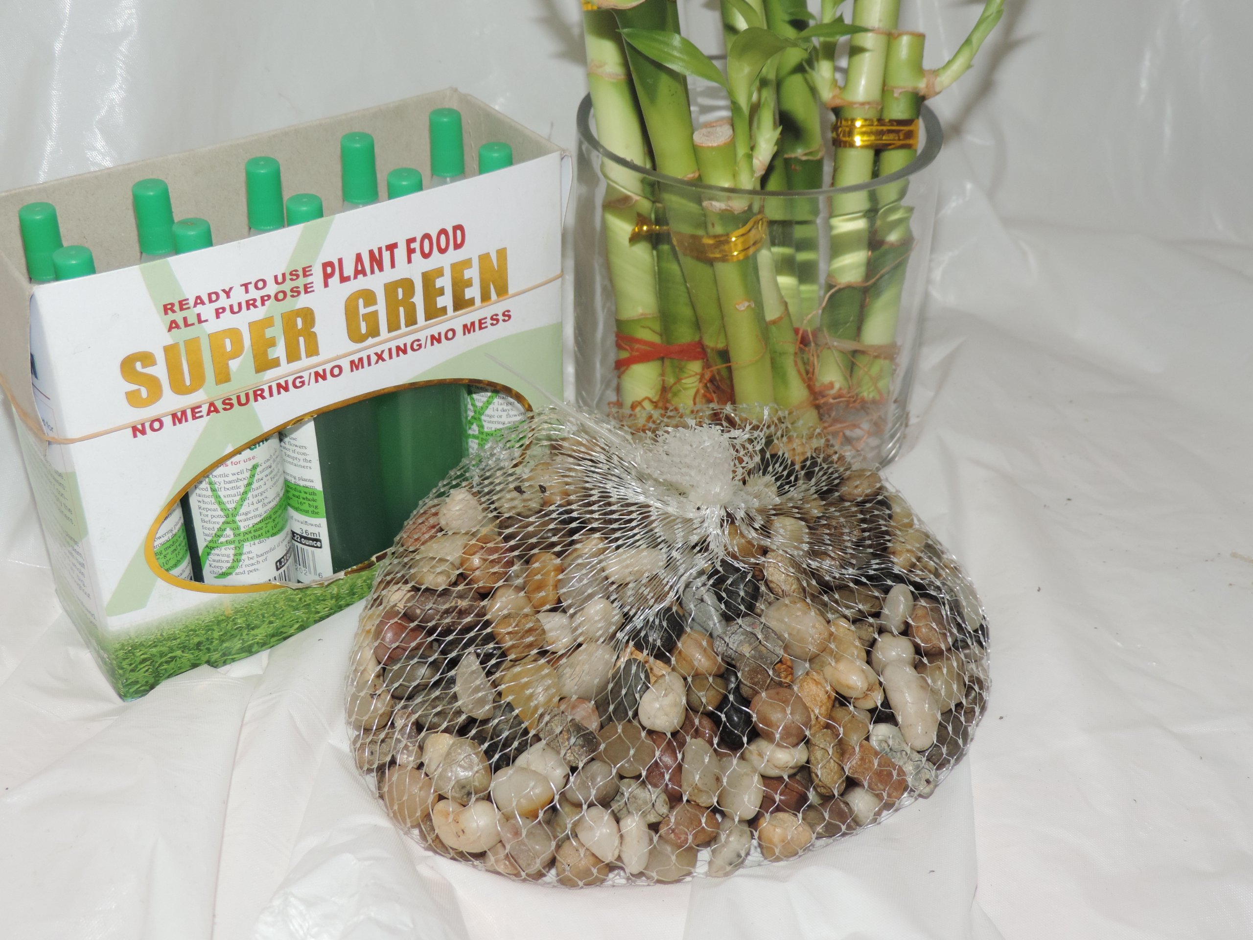 Lucky Bamboo Set with River Rocks & Super Green Plant Food - Feng Shui Home Decor, Office Desk Plant for Good Luck & Positive Energy