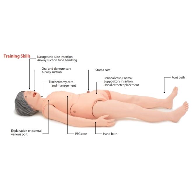 Keiko Female Geriatric Patient Care Simulator - High-Fidelity Nursing Training Manikin for Elderly Care Practice & Clinical Skills Development