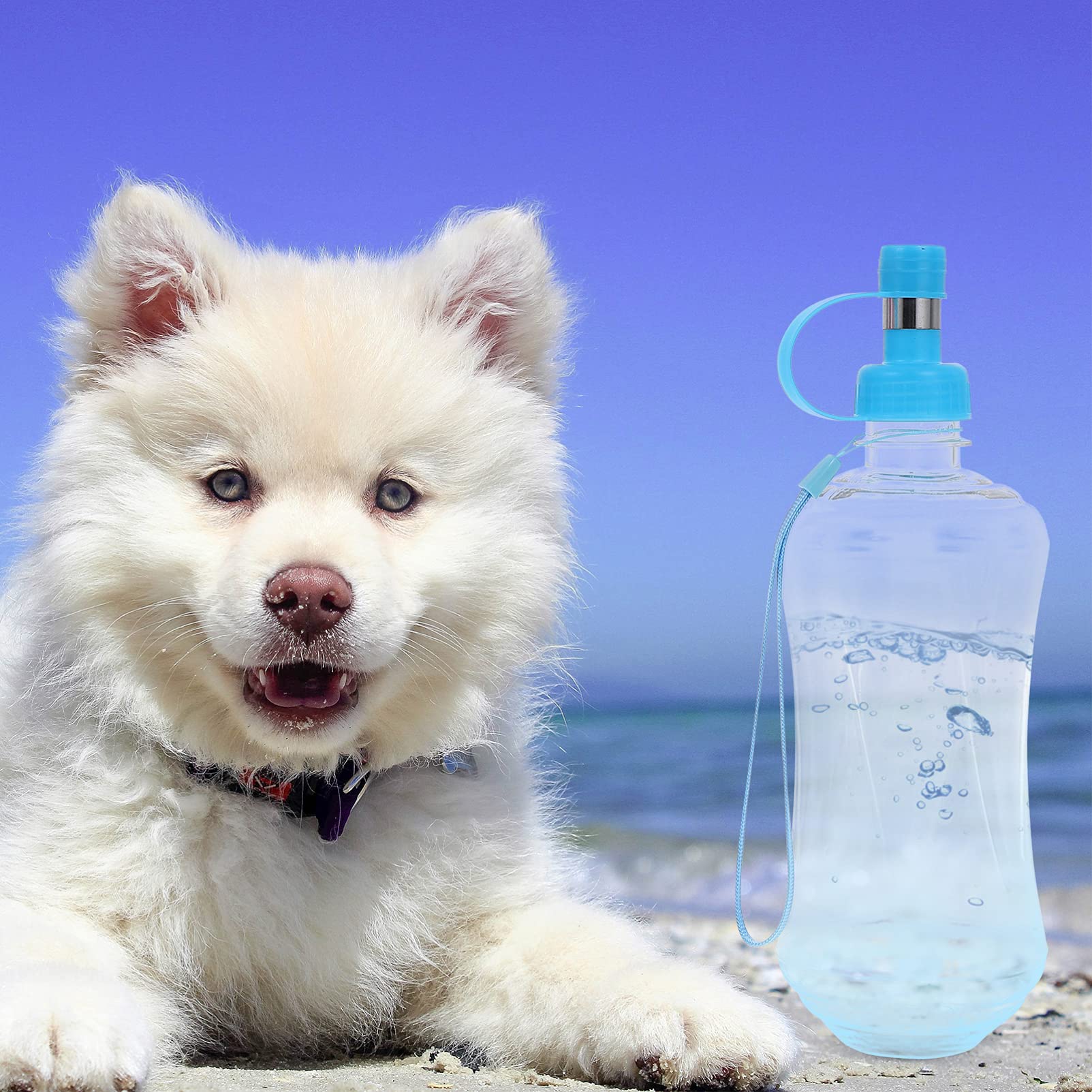 2 Pack Portable Pet Water Bottle with Drinking Spout - Leakproof Travel Dog Water Dispenser for Small Animals, Cats & Dogs - Ideal for Hiking, Walking, Camping & Outdoor Adventures