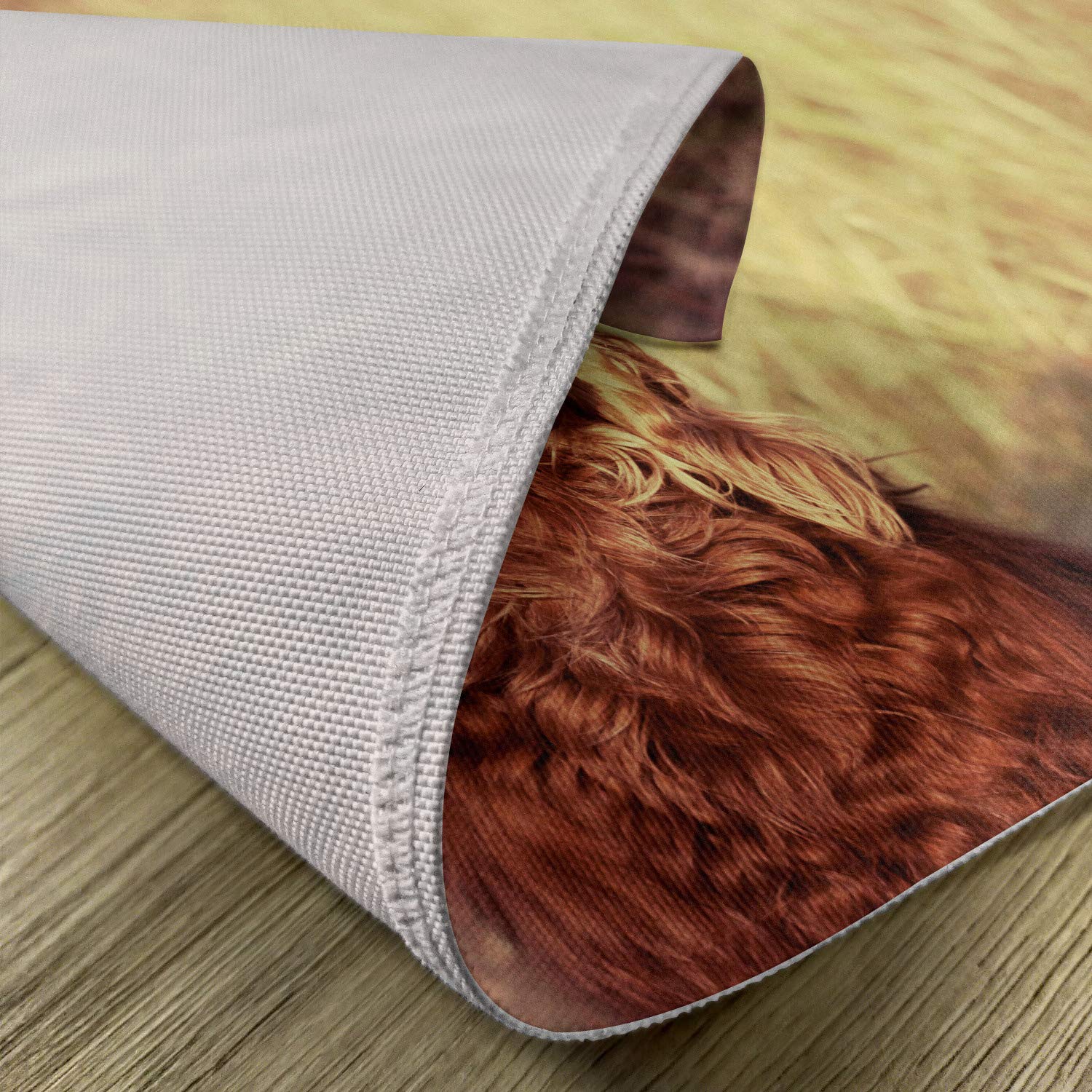 Ambesonne 4-Piece Animal Placemats Set - Funny Retro Irish Setter Dog with Hat & Sunglasses Design - Washable Fabric Table Mats for Dining Room & Kitchen Decor (Red/Brown/Tan) - Perfect for Family Dinners, Parties, and Pet Lover Home Decor