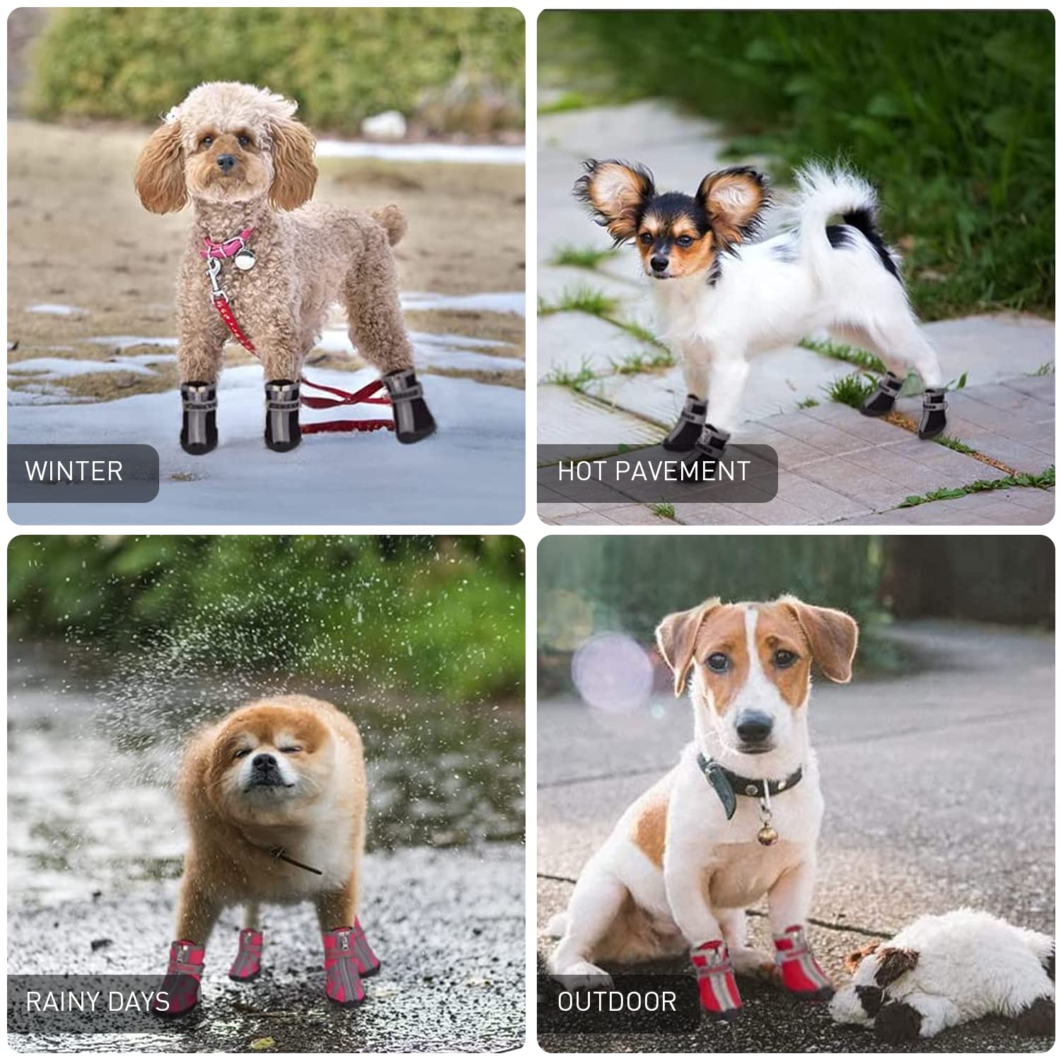 Winter Snow Dog Boots for Small & Medium Dogs - Anti-Slip Rugged Sole, Zipper Closure & Reflective Design | Waterproof Hiking Booties for Cold Weather, Snowy Walks & Outdoor Adventures