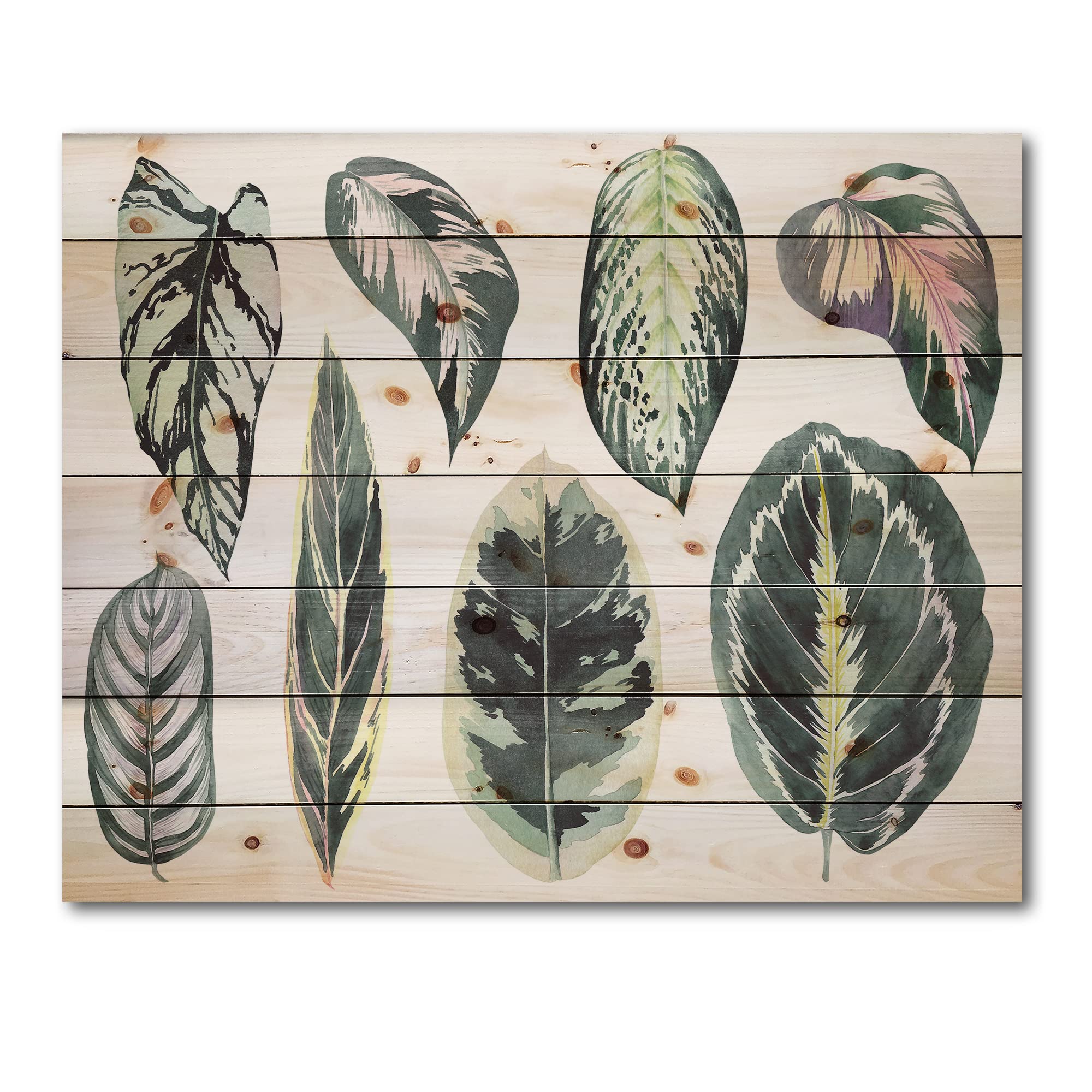 Bohemian Tropical Calathea Leaves Wood Wall Decor - Large Eclectic Animal Panels Printed on Natural Pine Wood - Perfect for Living Room, Bedroom, or Office Wall Art