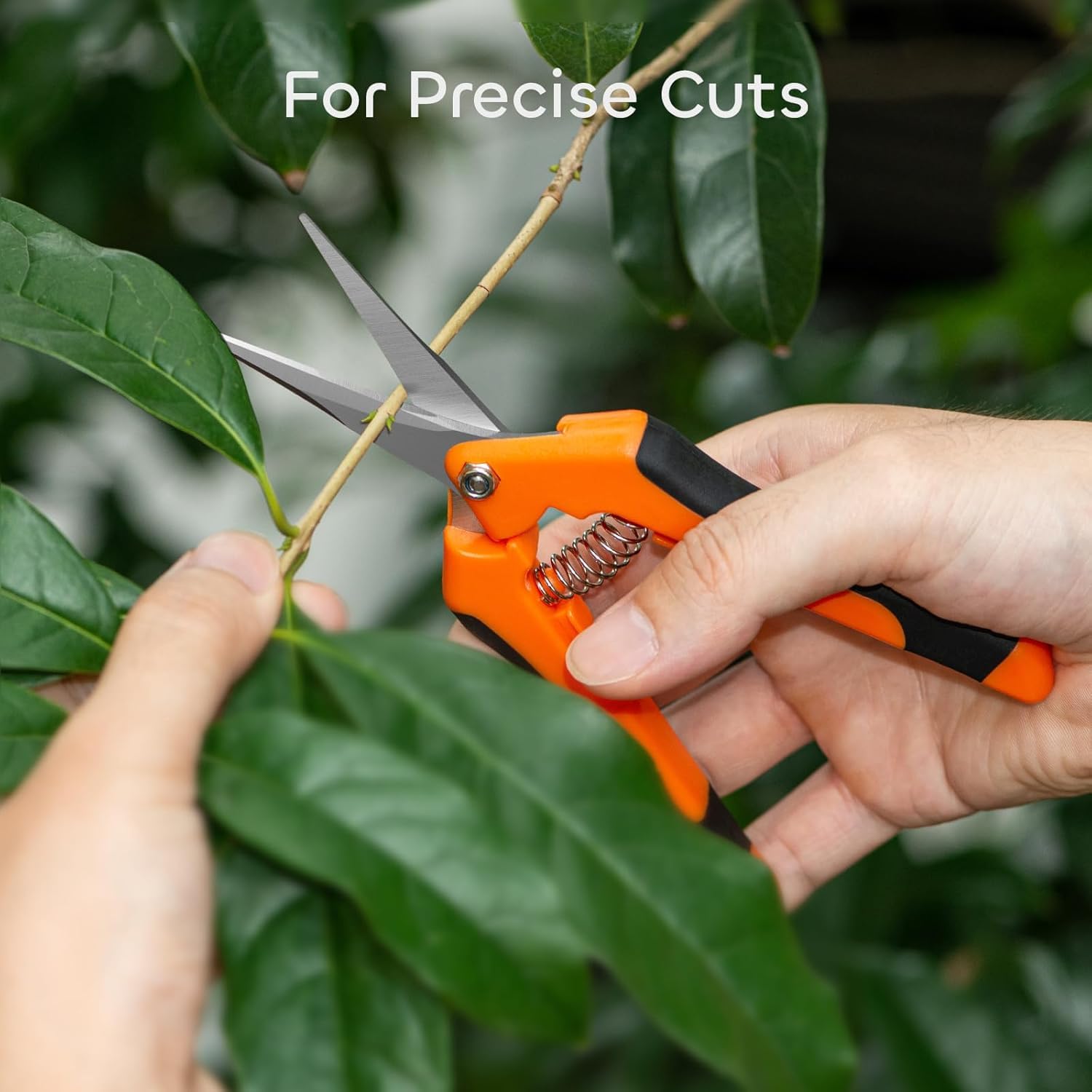 GROWNEER 6.5 Inch Pruning Shears - Stainless Steel Precision Garden Scissors for Trimming Plants, Flowers & Branches | Ideal for Gardening, Landscaping & Outdoor Use